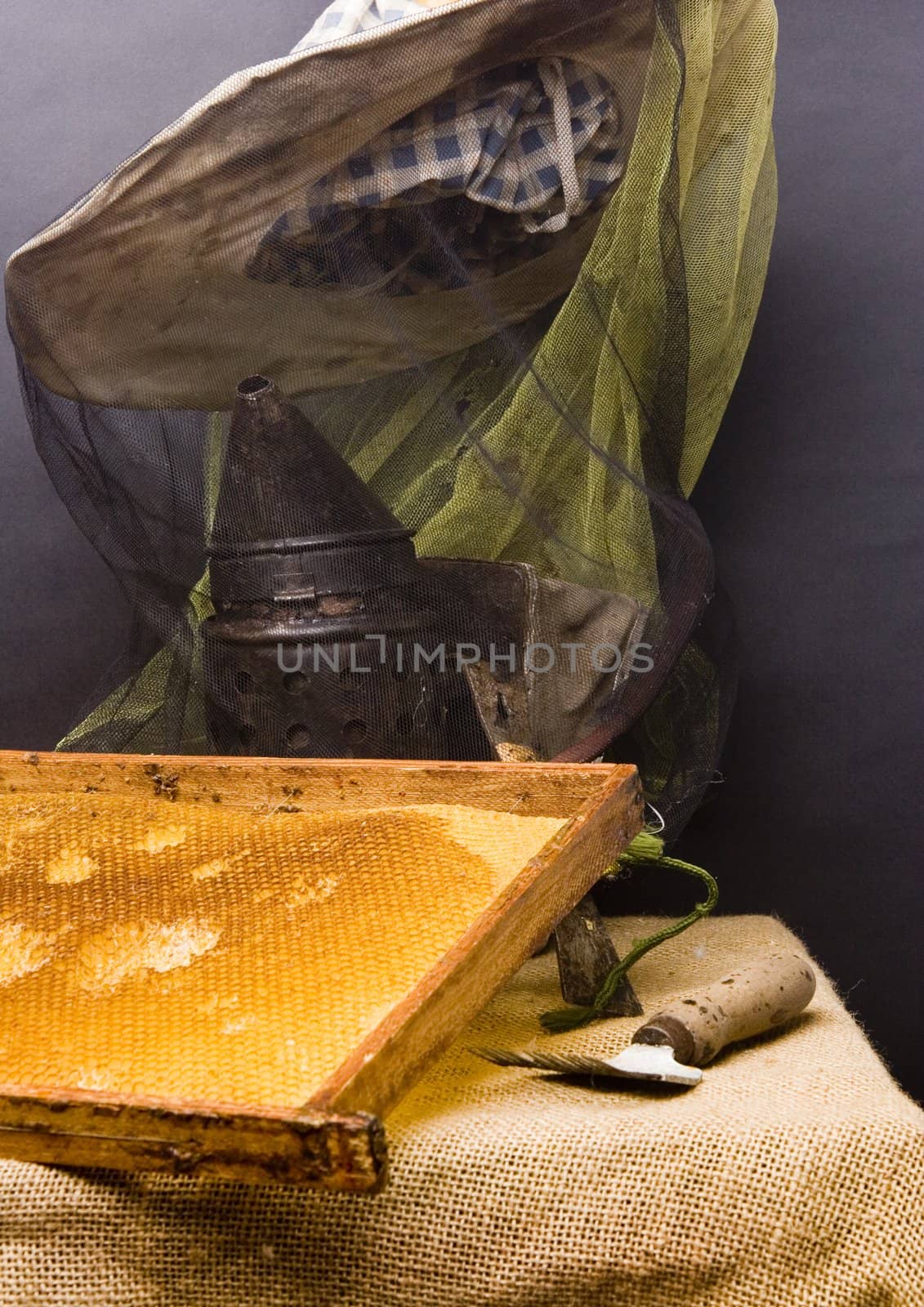 Basic attributes of every beekeeper imieszczone on a black background in studio