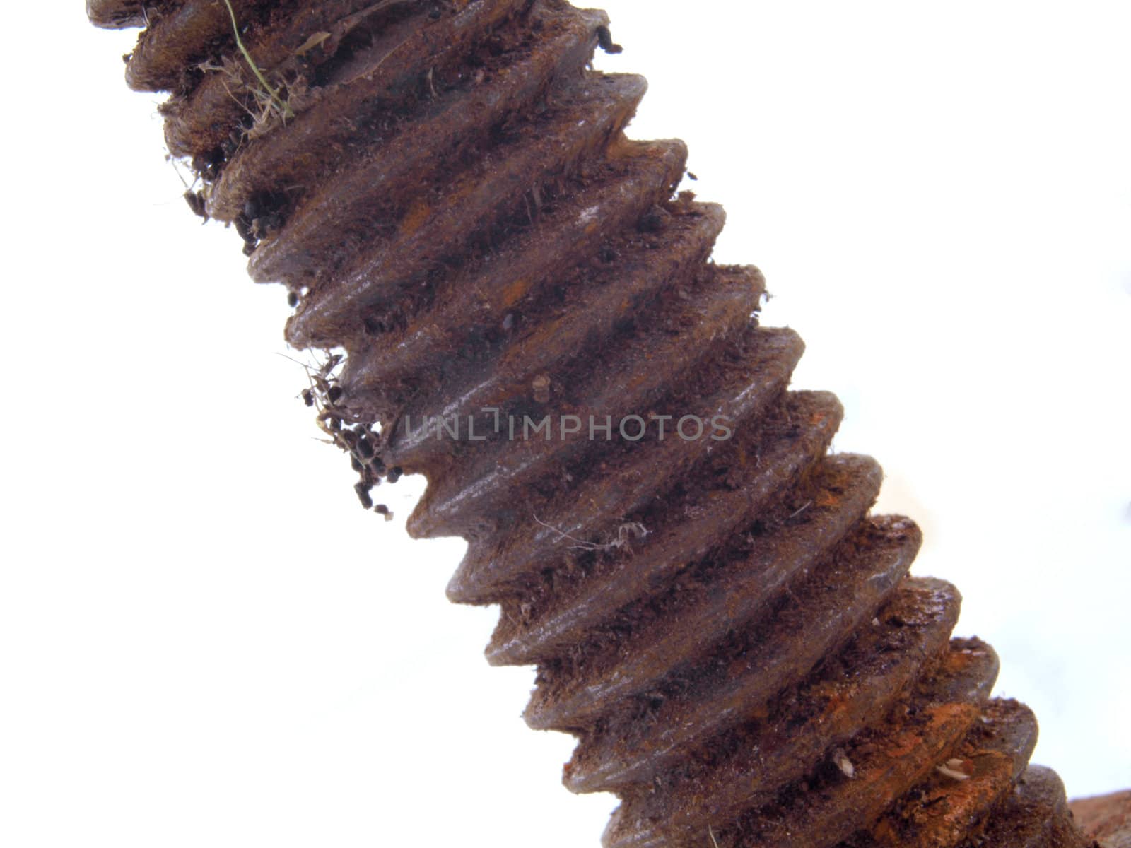 Old rusty bolt on a white background.