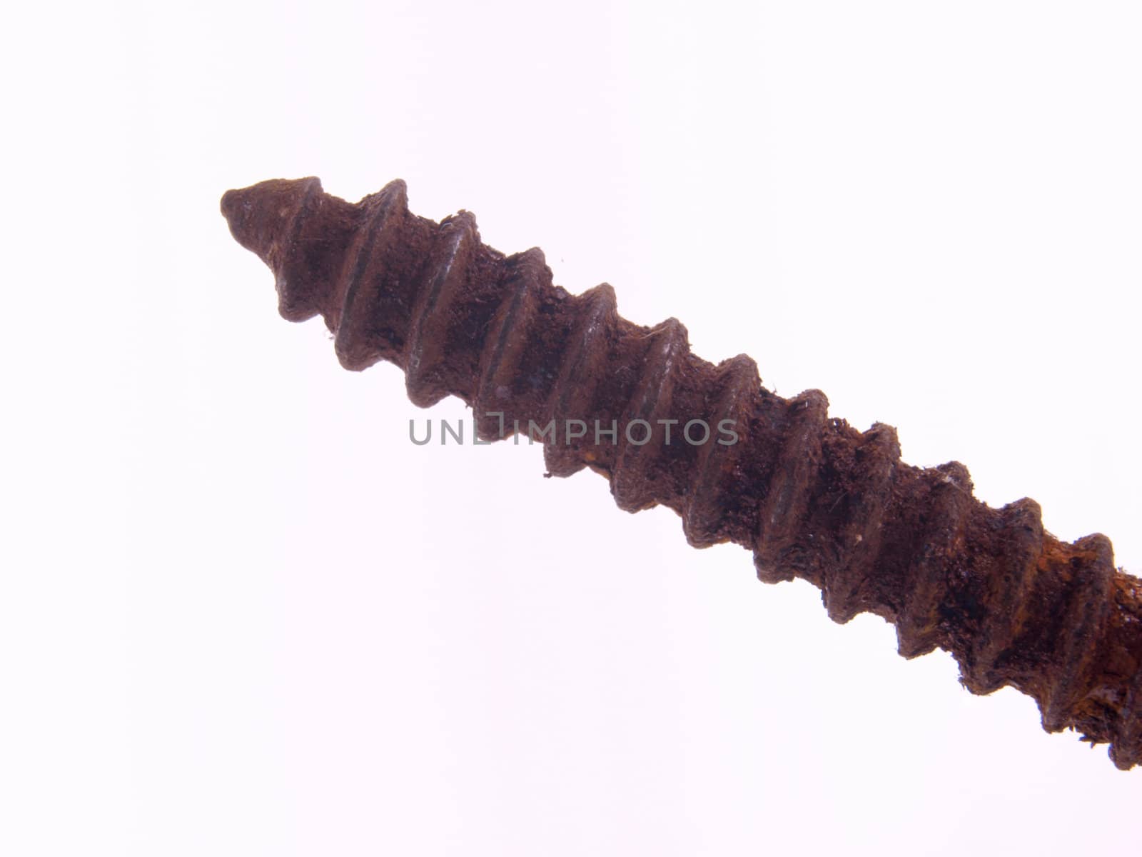 Old rusty screw on a white background.