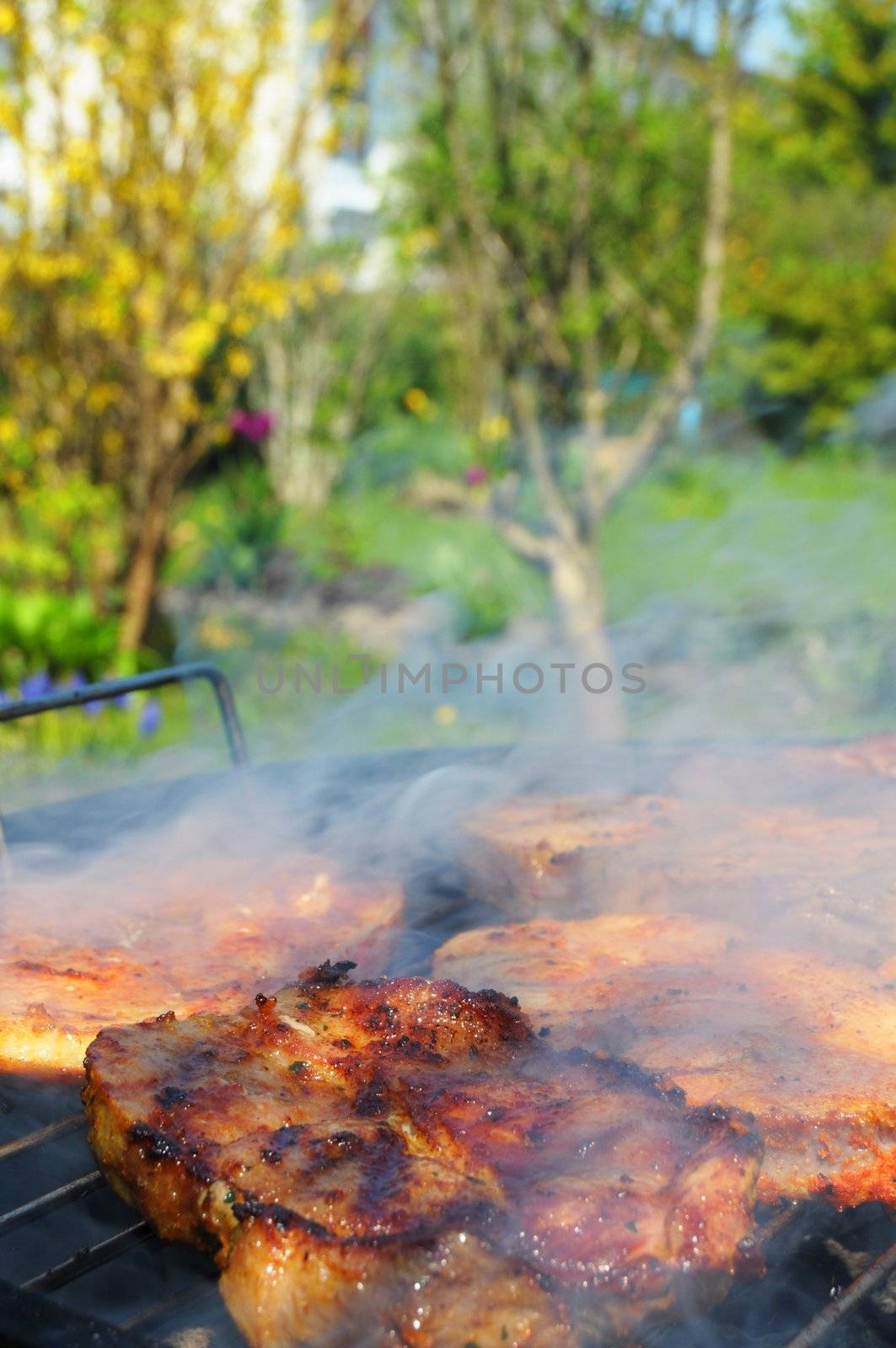 meat on the barbecue in summer showing food concept