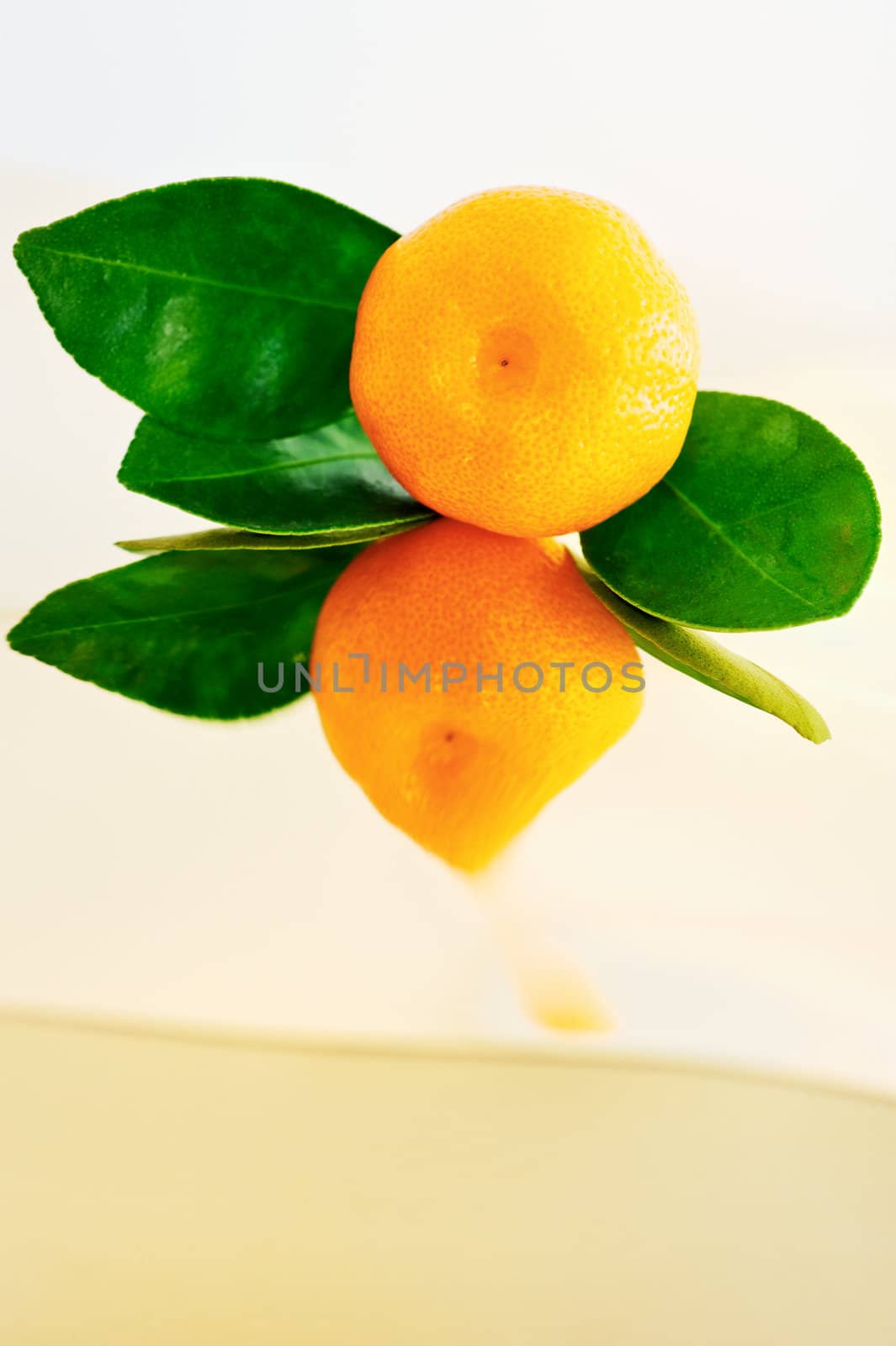 Close-up tangerine with leaves, with its own reflection