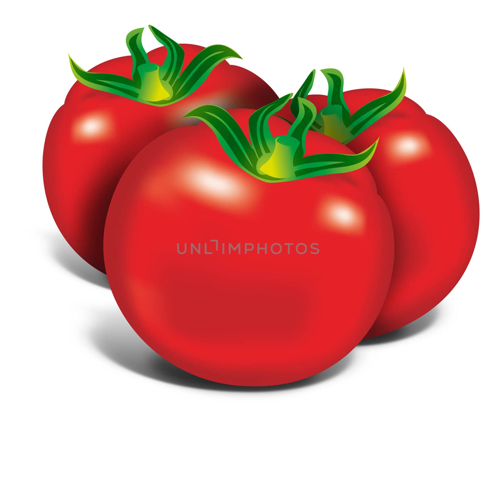 Red tomatos on white background, illustration