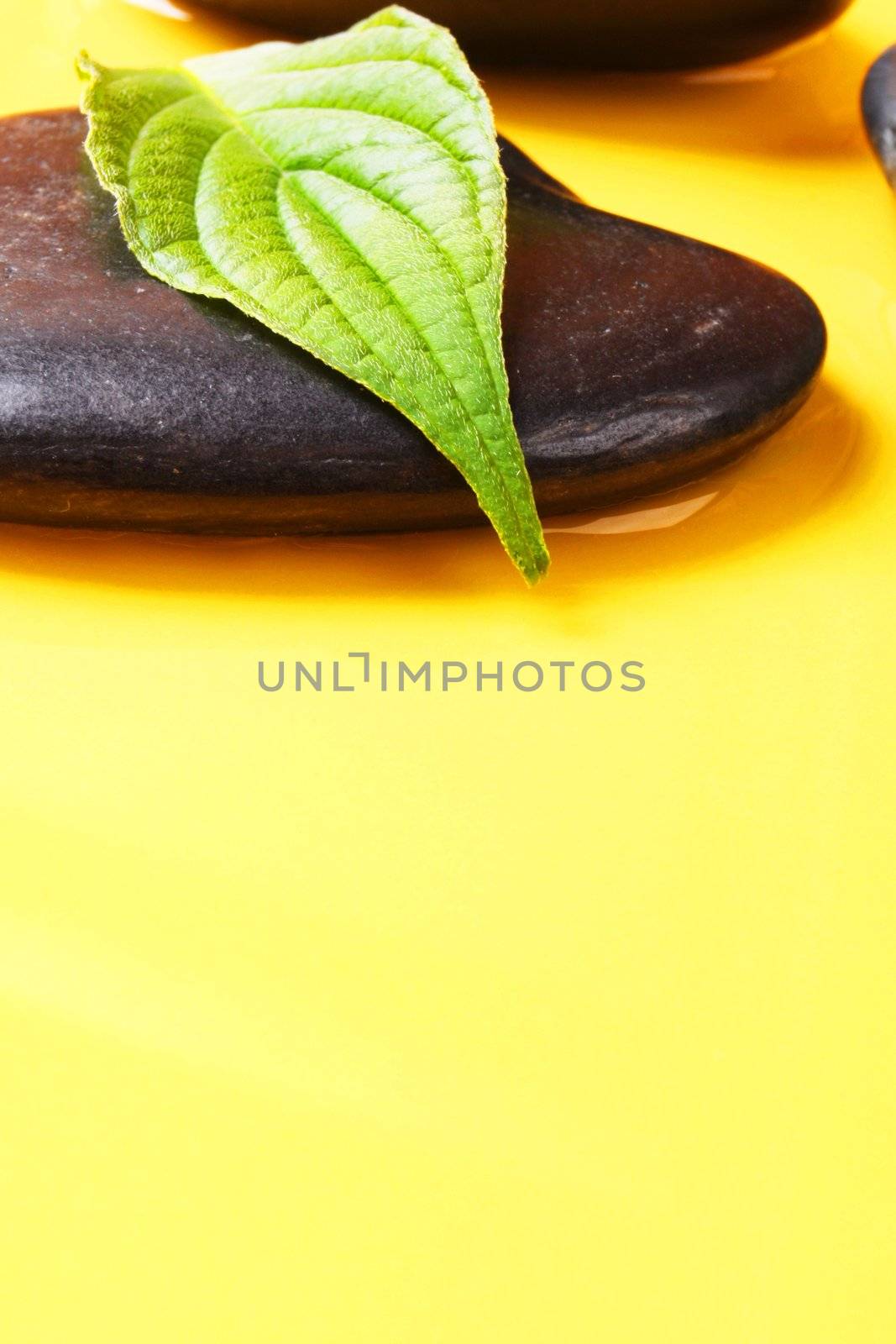 spa or zen still life with stone leaf and copyspace