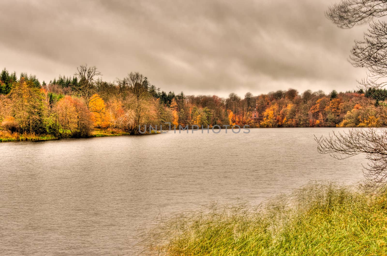 view of far lake shore in autumn