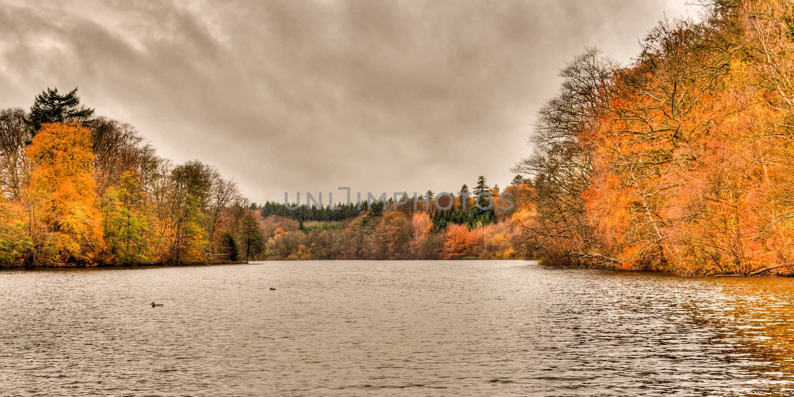 view of far lake shore in autumn