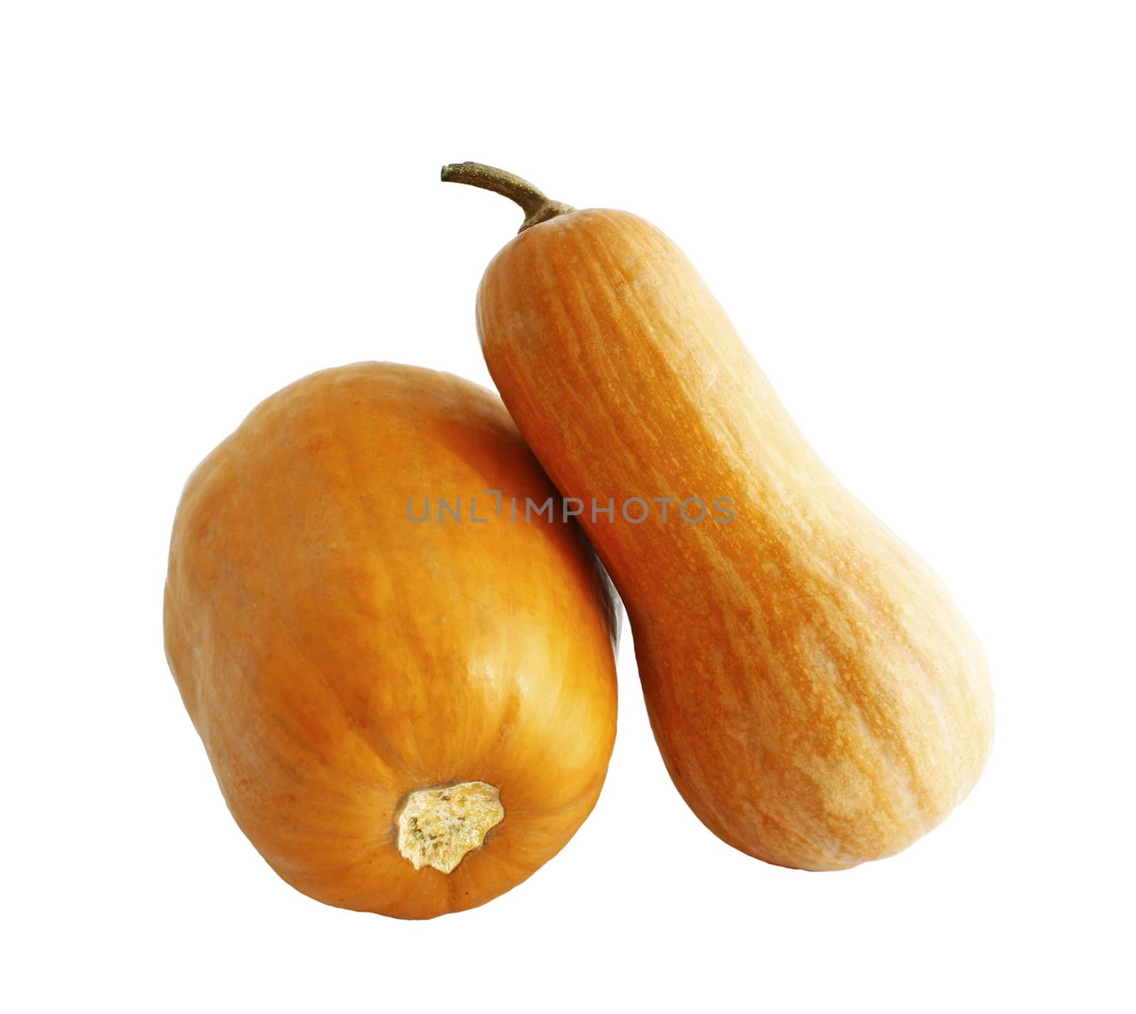 Pumpkins isolated on white background