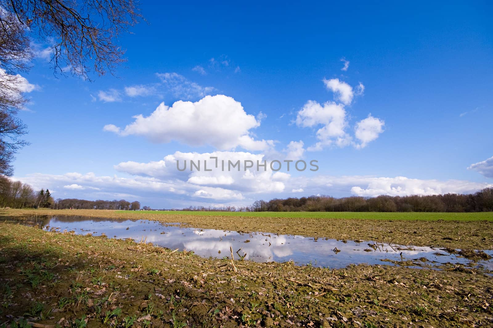farmland after the rain with puddle and blue sky and some clouds
