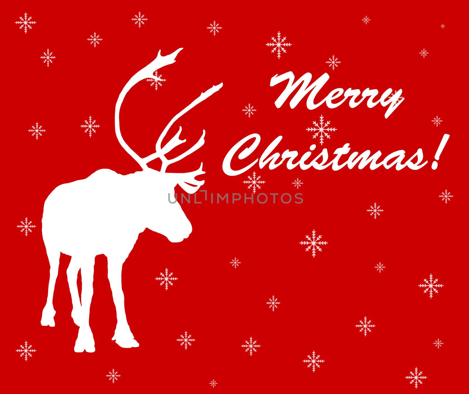 Caribou reindeer Christmas card by Mirage3