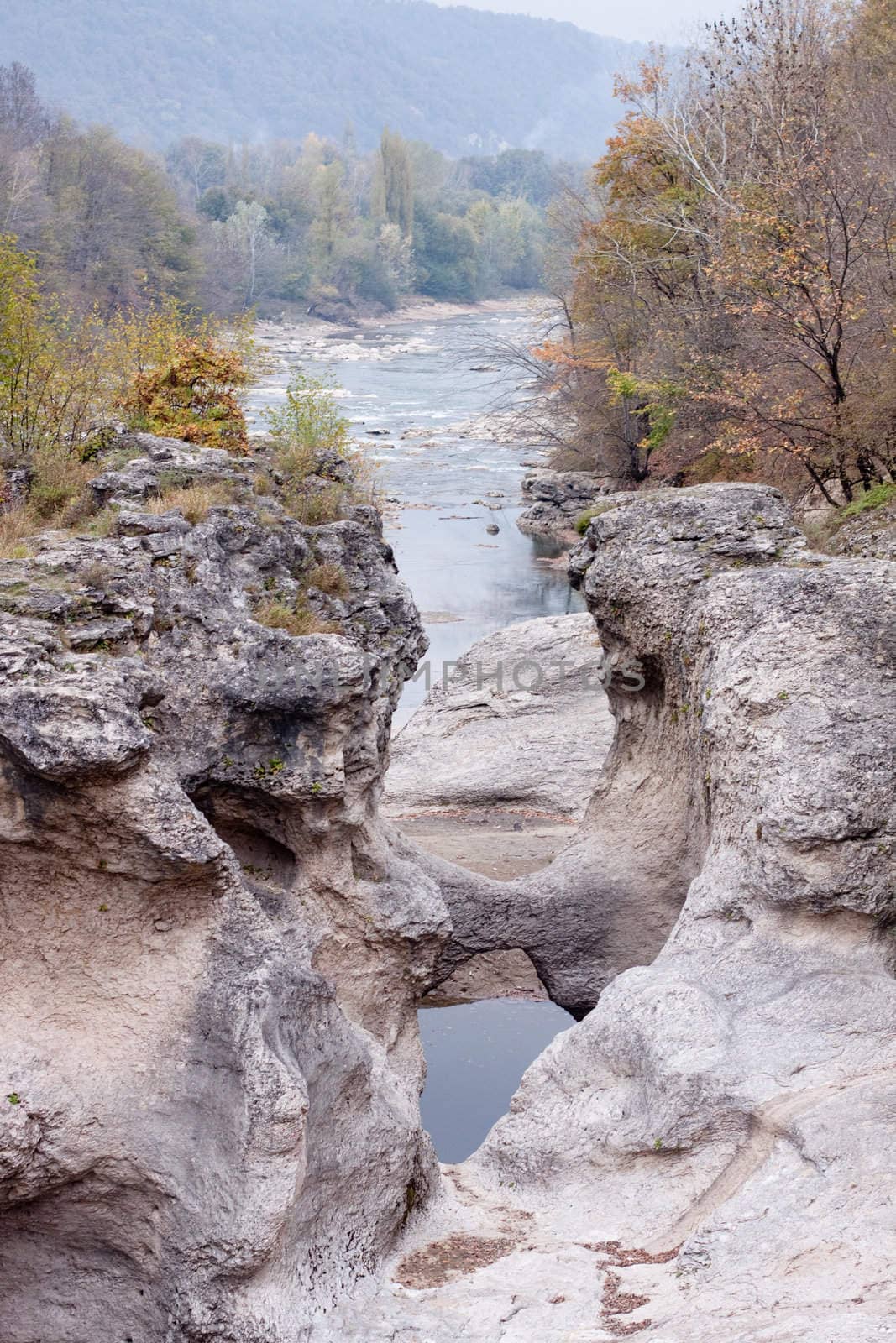 A curved river which flows in a valley on a forest background
