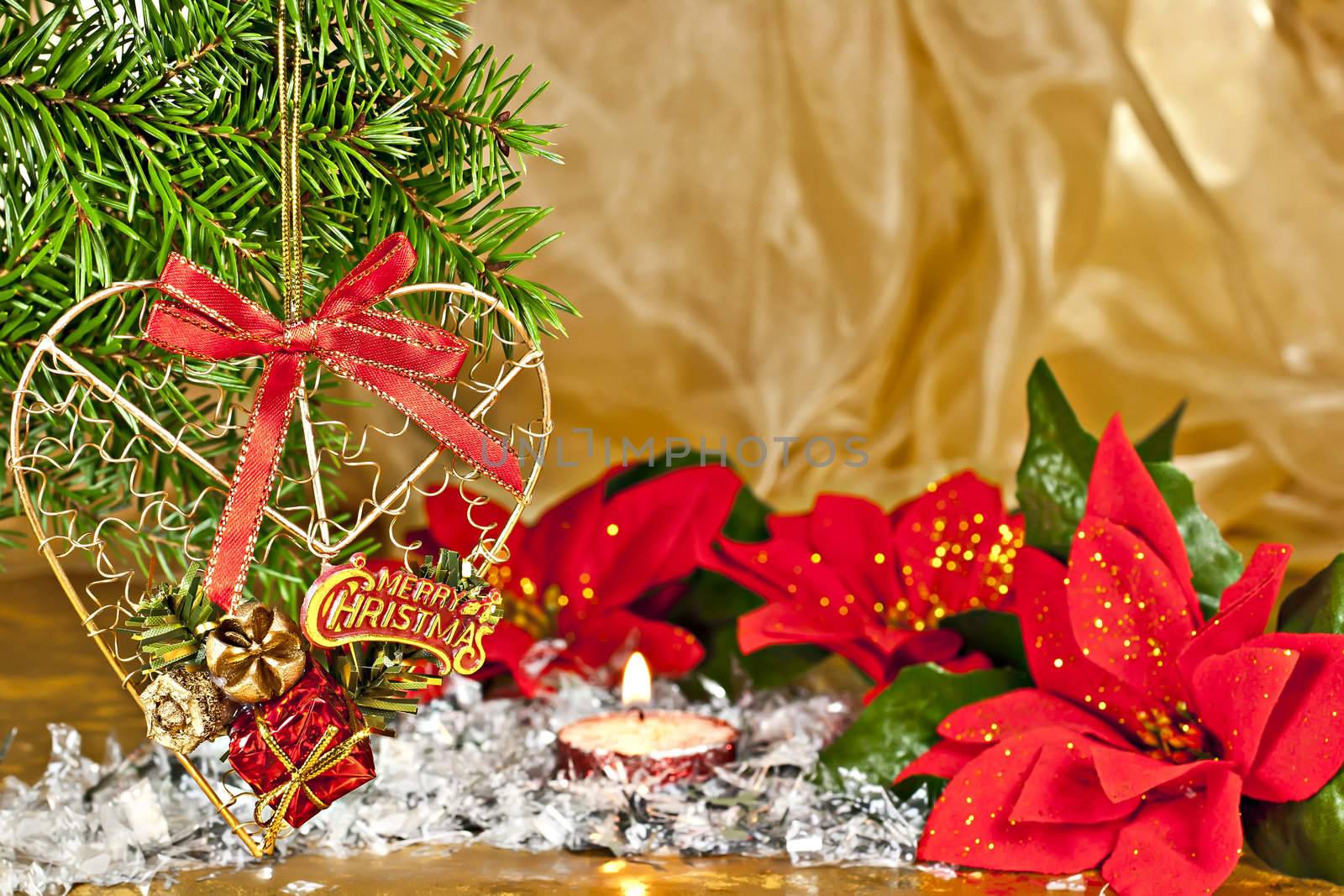 Christmas composition, fir branch with the decor, Poinsettia on gold background.


