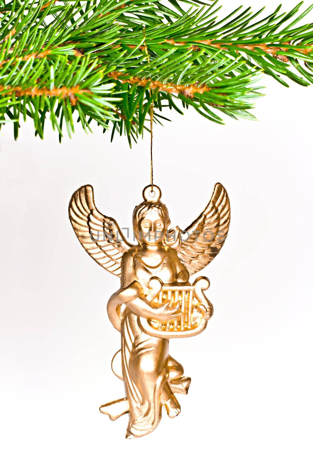 Angel Christmas. by gitusik
