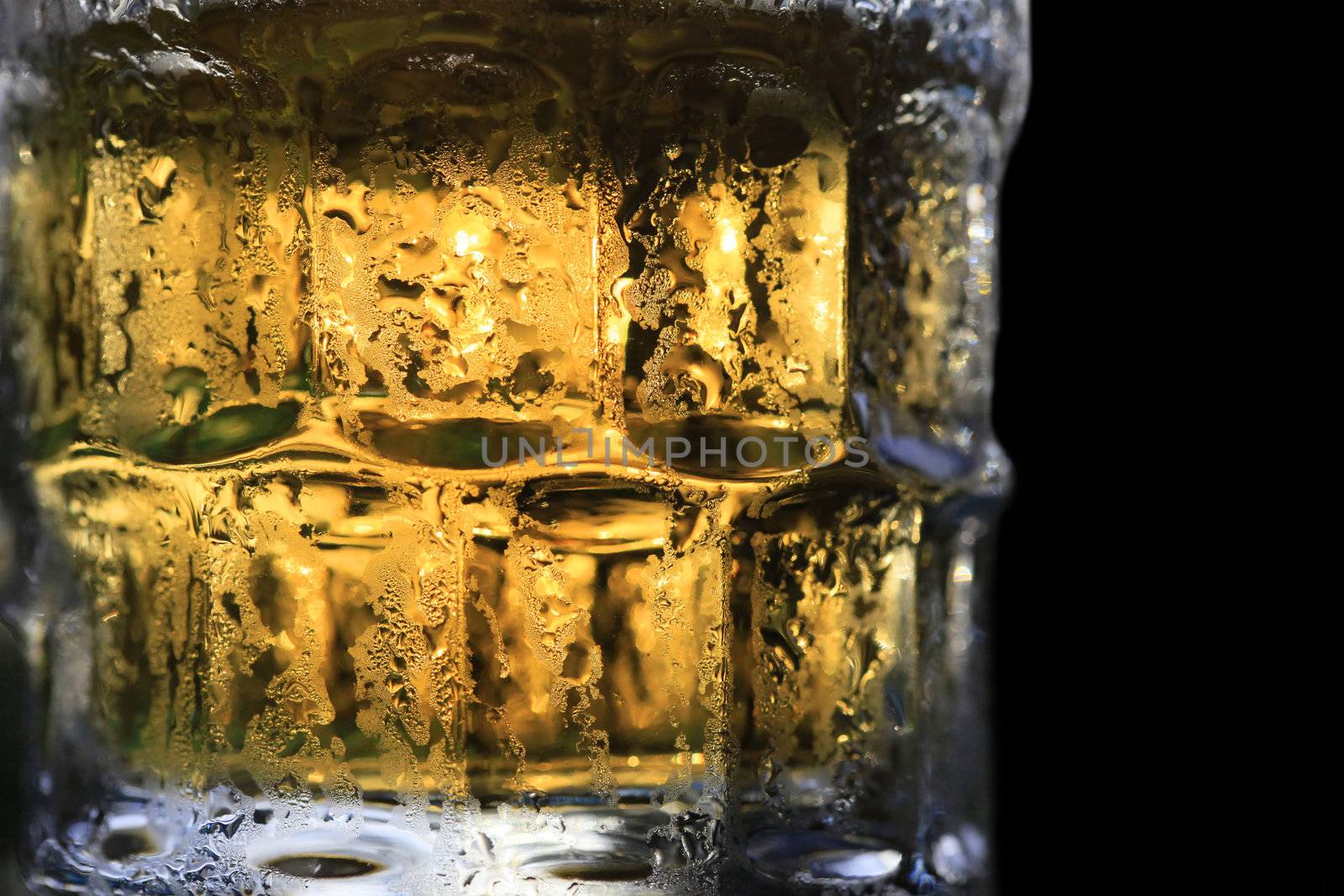 Backlit glass of beer on a black background