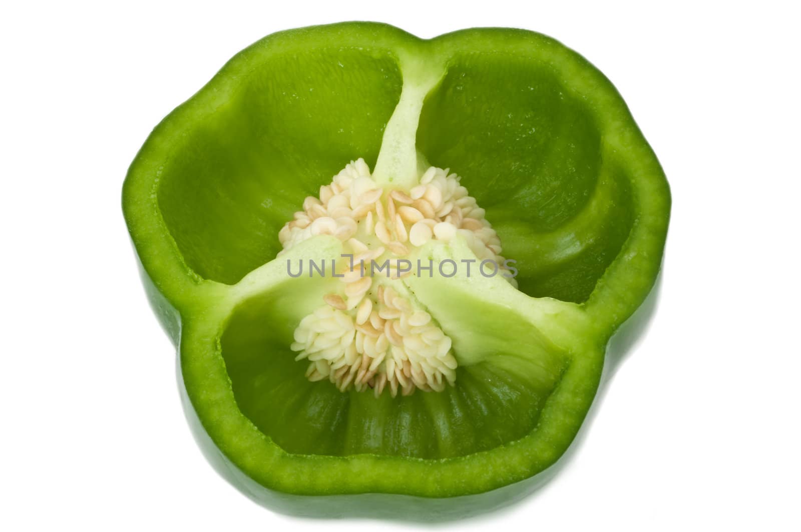 Green pepper cross section. by 72soul