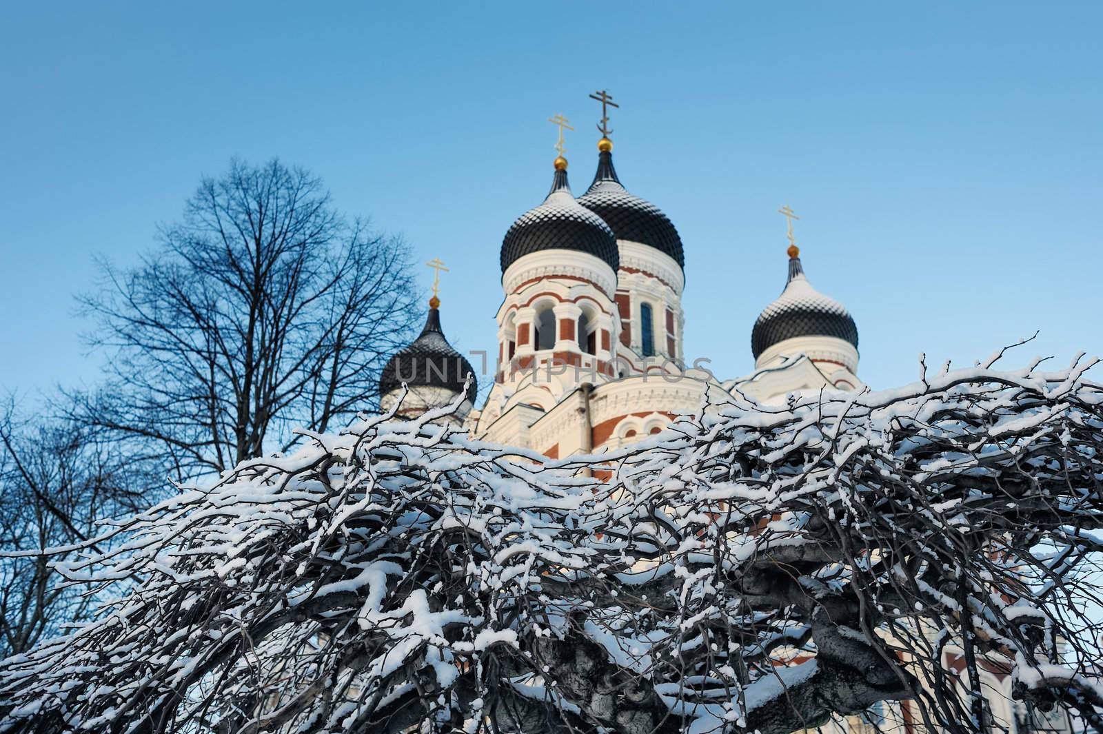 View of the Church through the branches covered with snow