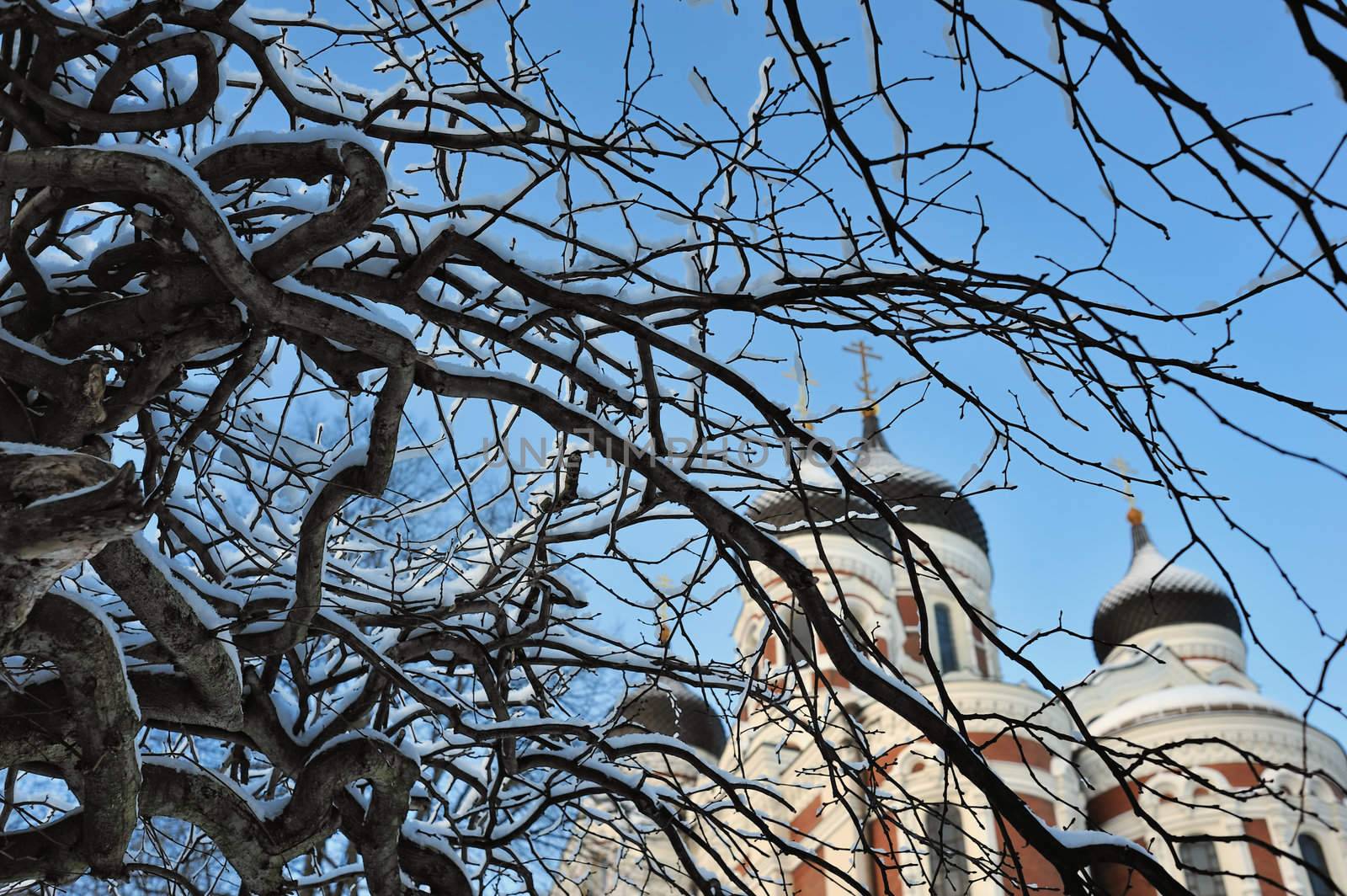 View of the Church through the branches covered with snow