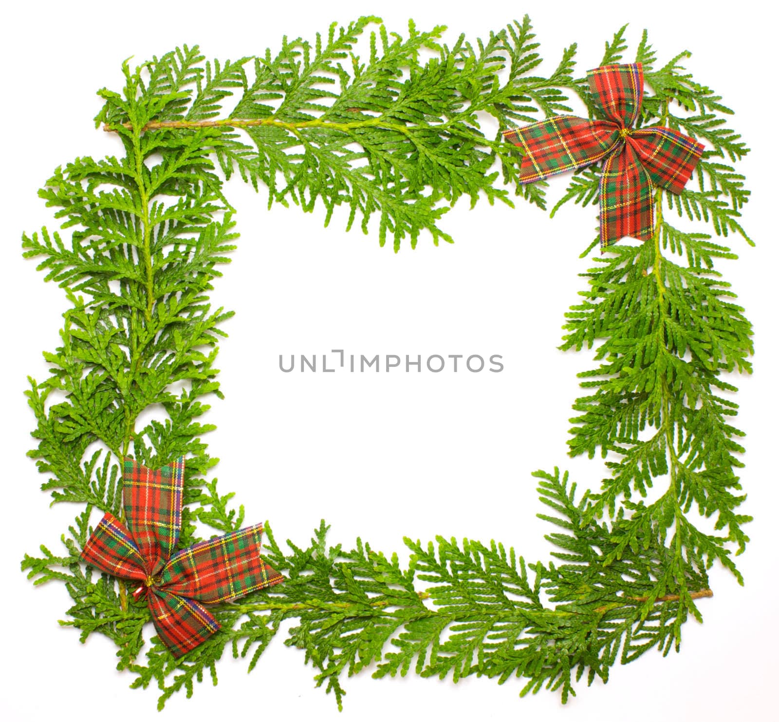 Green juniper frame with decoration by ursolv