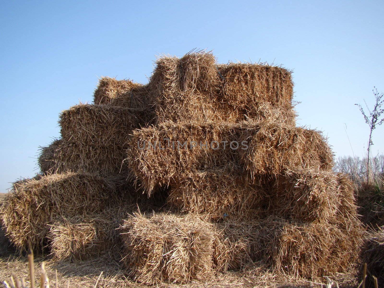 Stack of straw by asbm