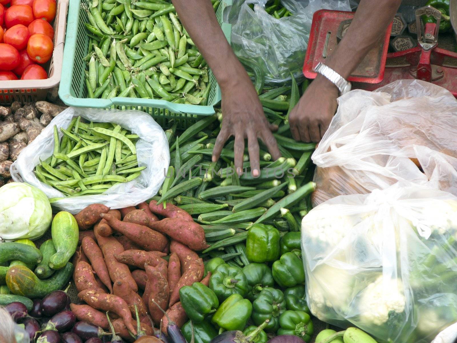 vendor selling fresh vegetables door to door