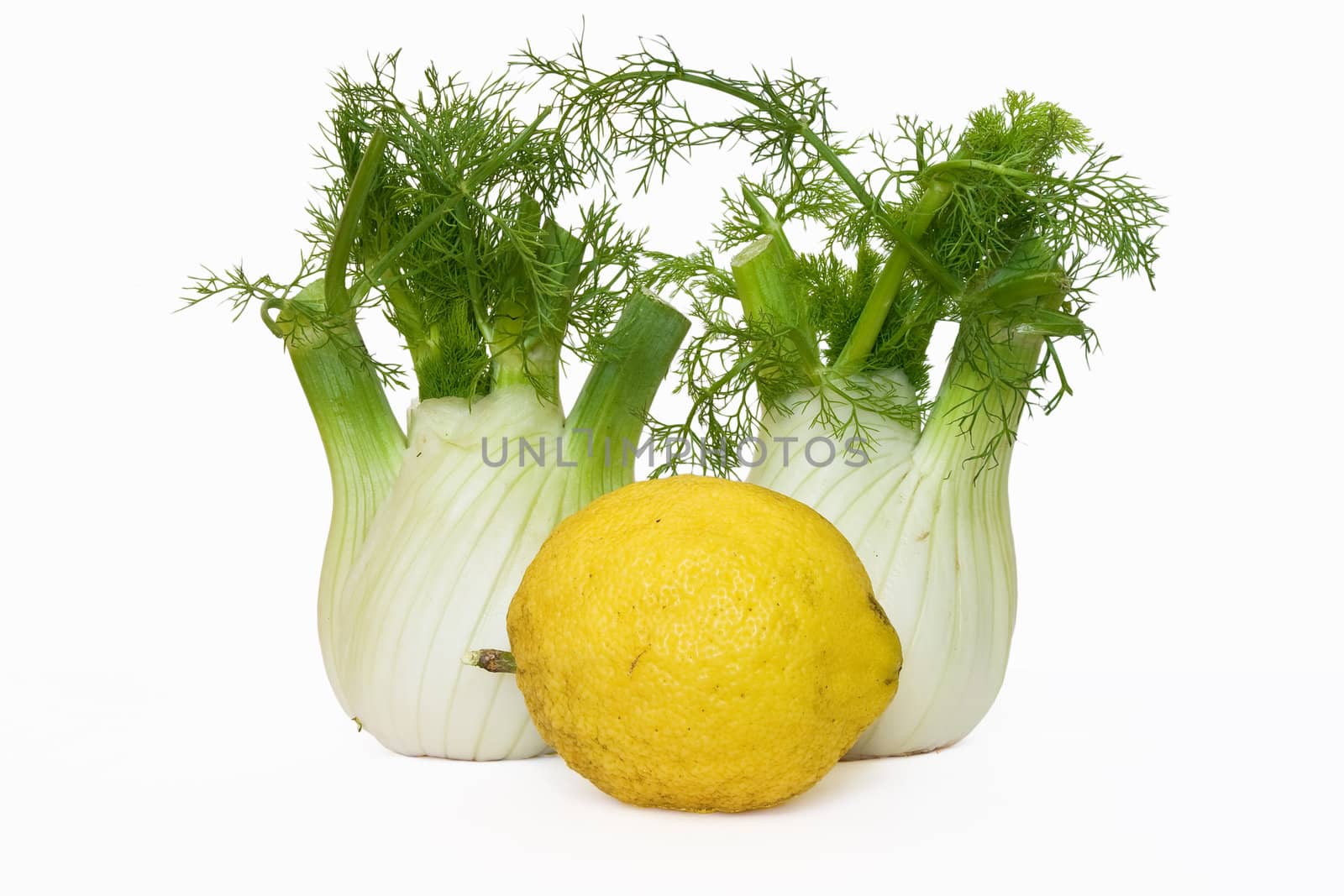 two fennel, and lemon on white background