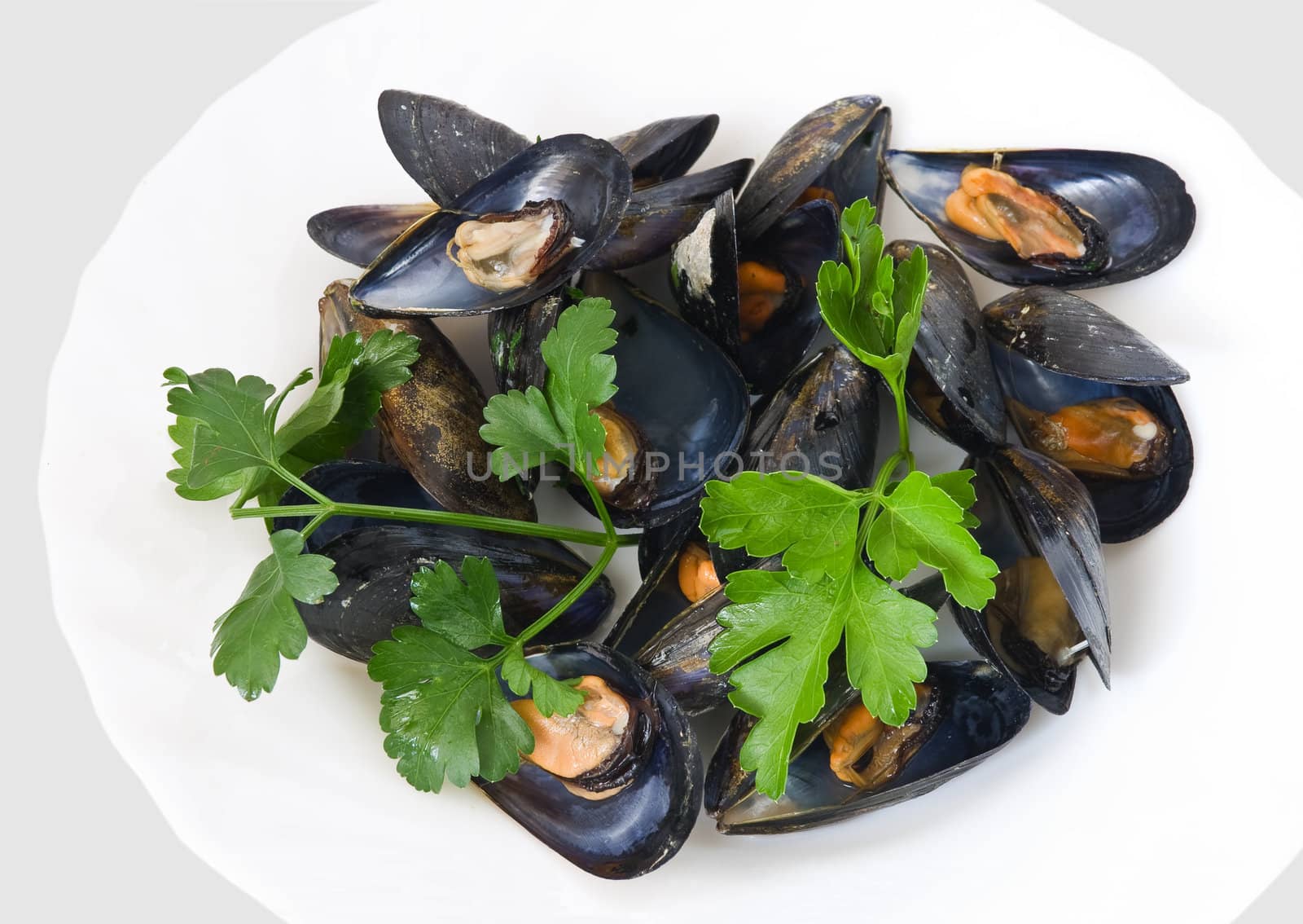 Boiled mussel with parsley, oil and lemon and garlic