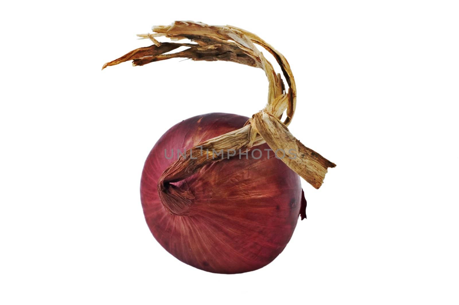 Red onion isolated on white