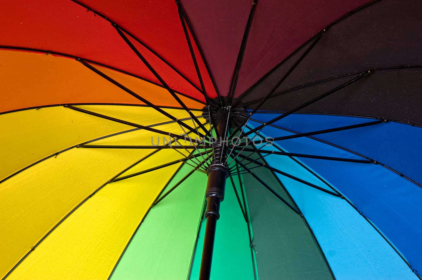 Close up of rainbow colored umbrella