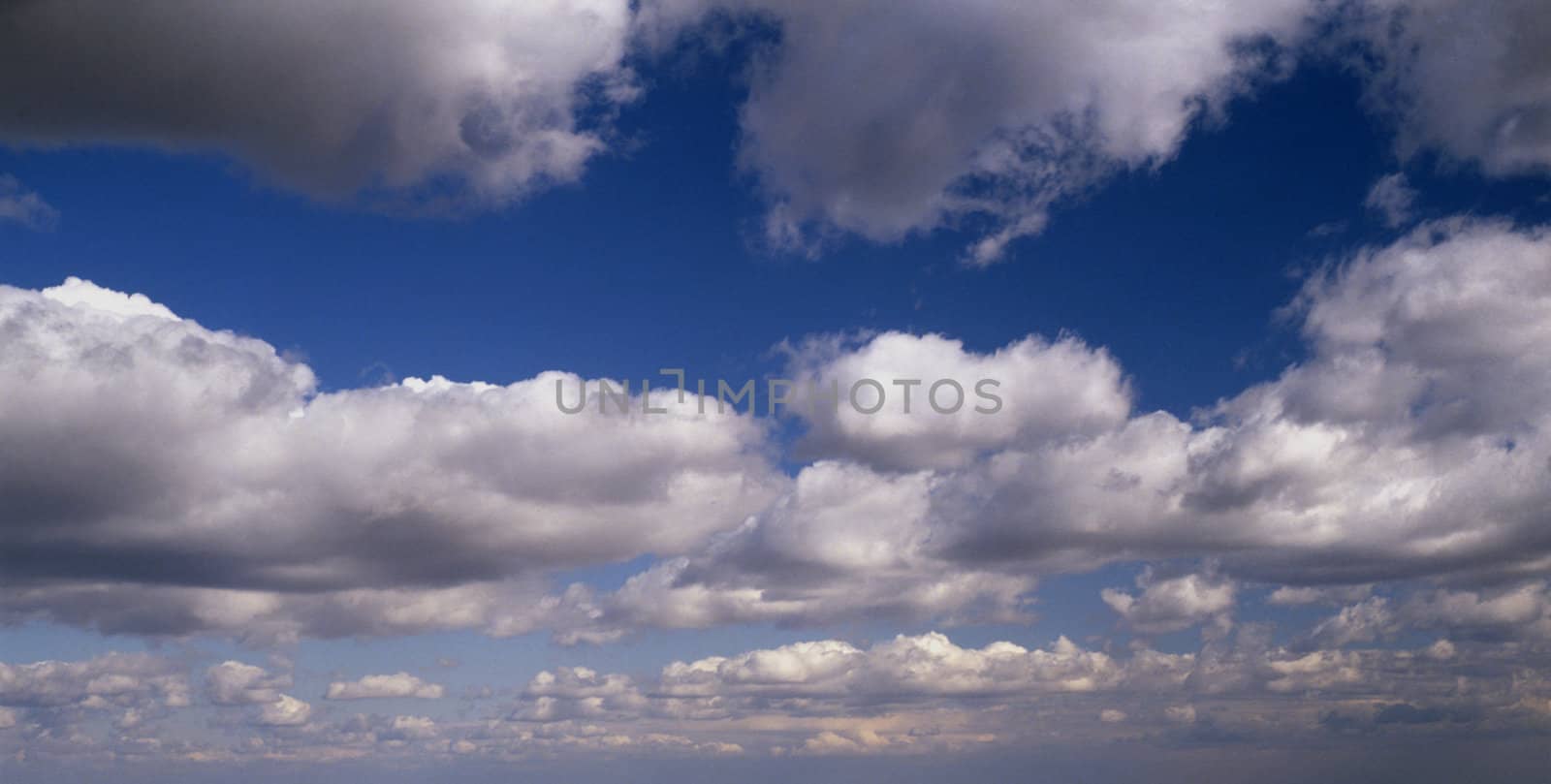 Puffy Cumulus Clouds