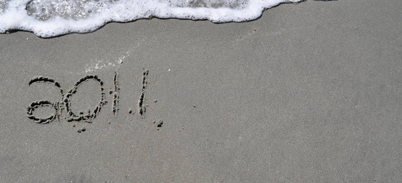 2011 In the Sand by RefocusPhoto