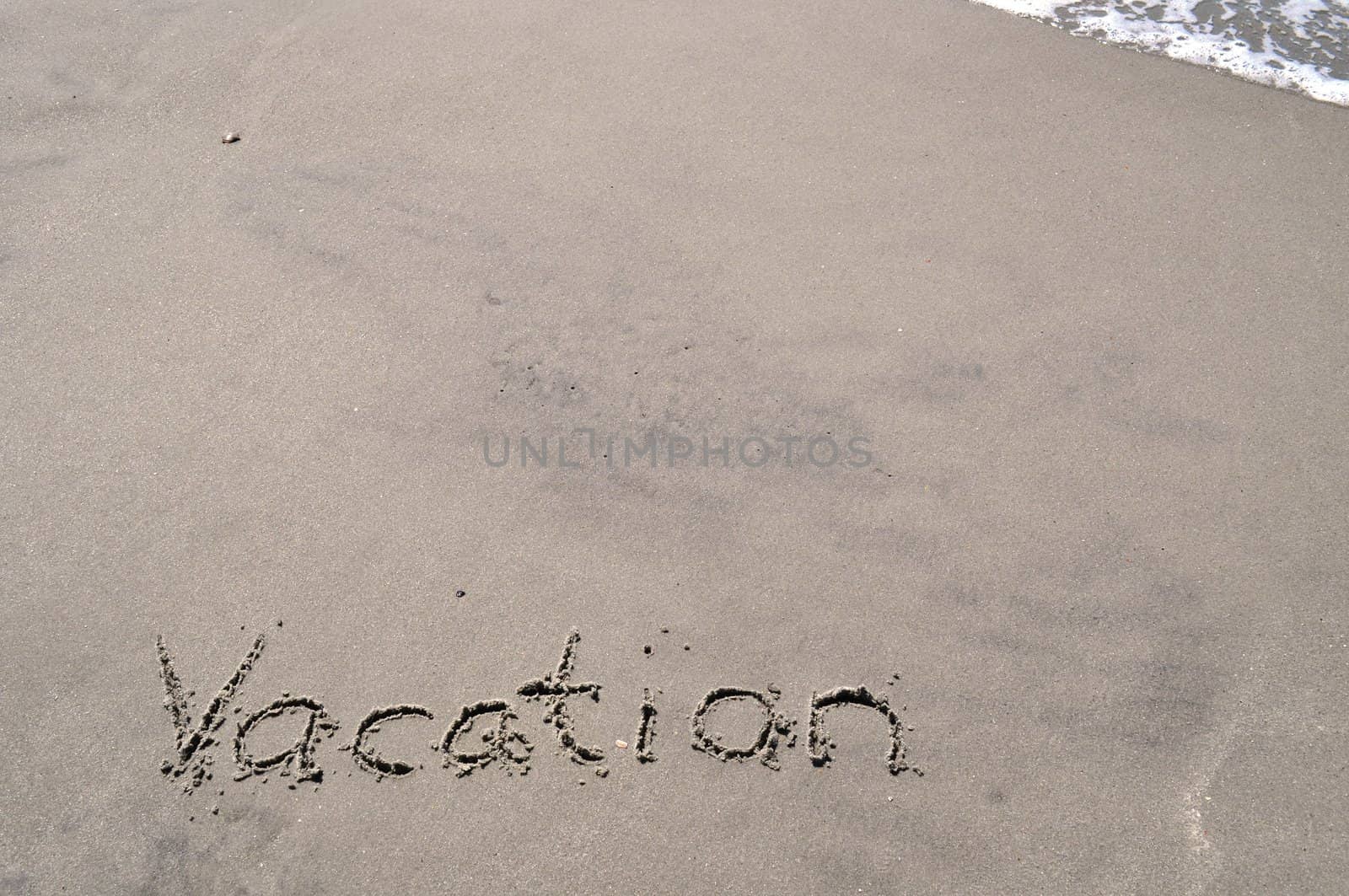 Vacation In the Sand