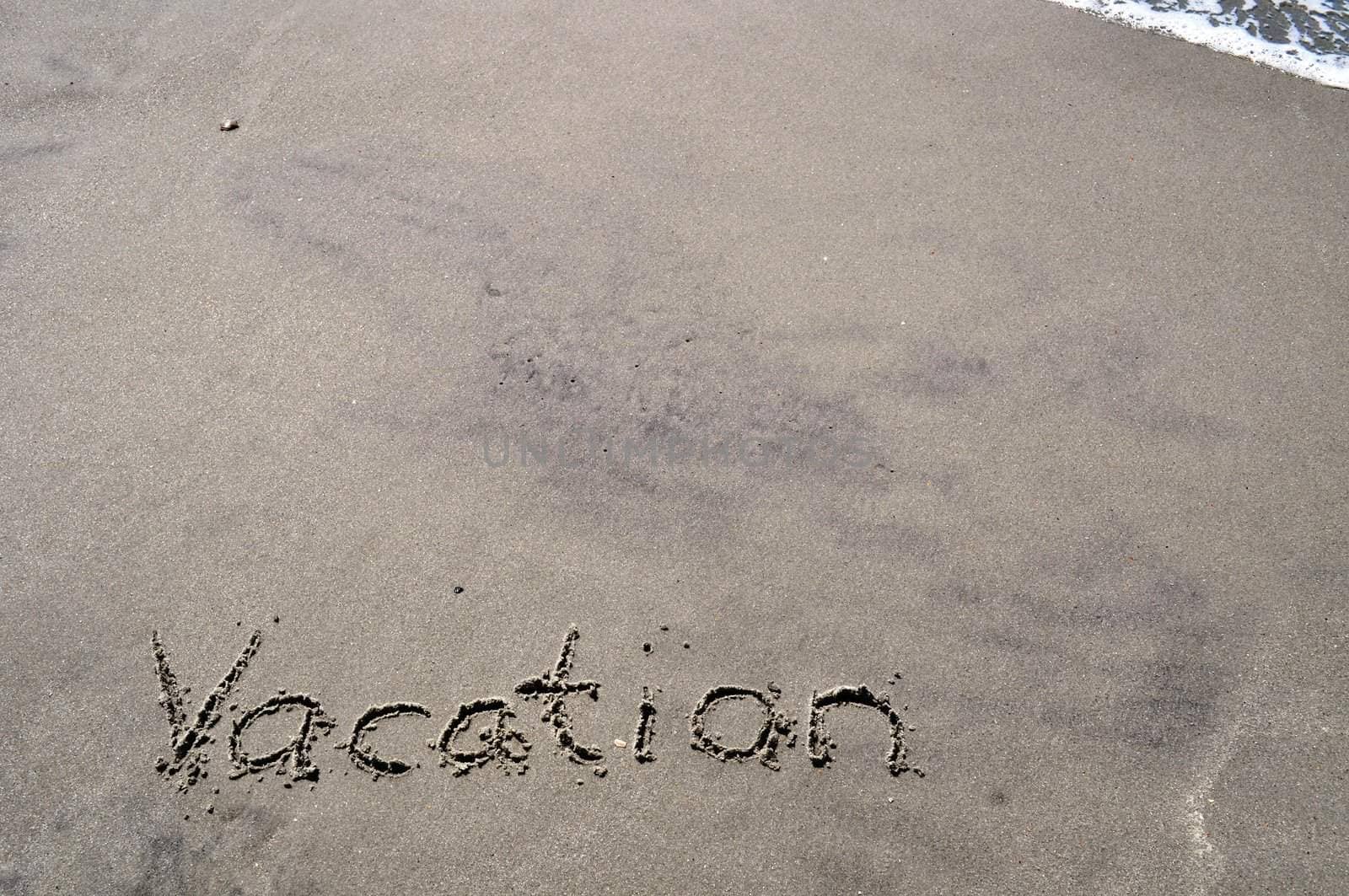 Vacation In the Sand