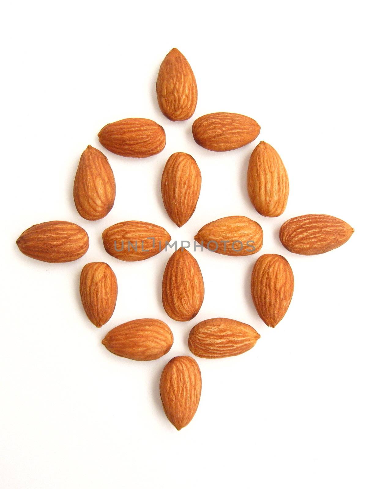 pattern of almond on the white background