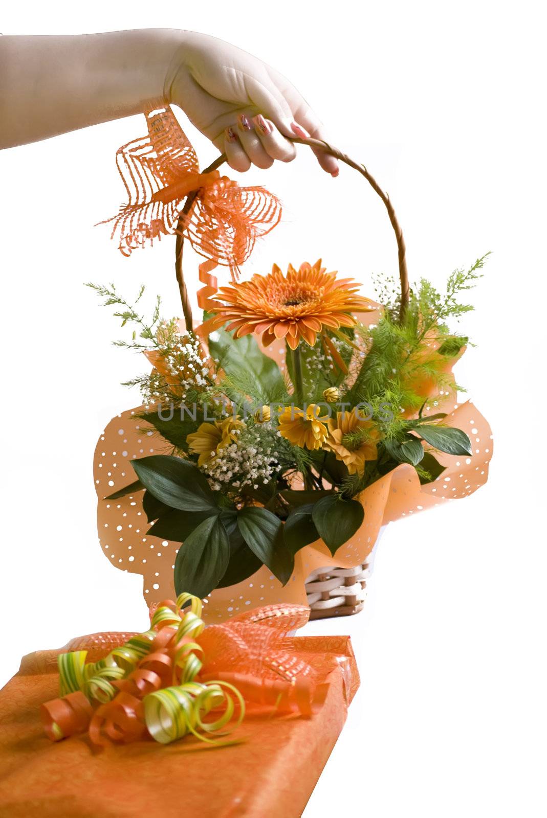 hand giving orange gerbera bouquet in basket over white