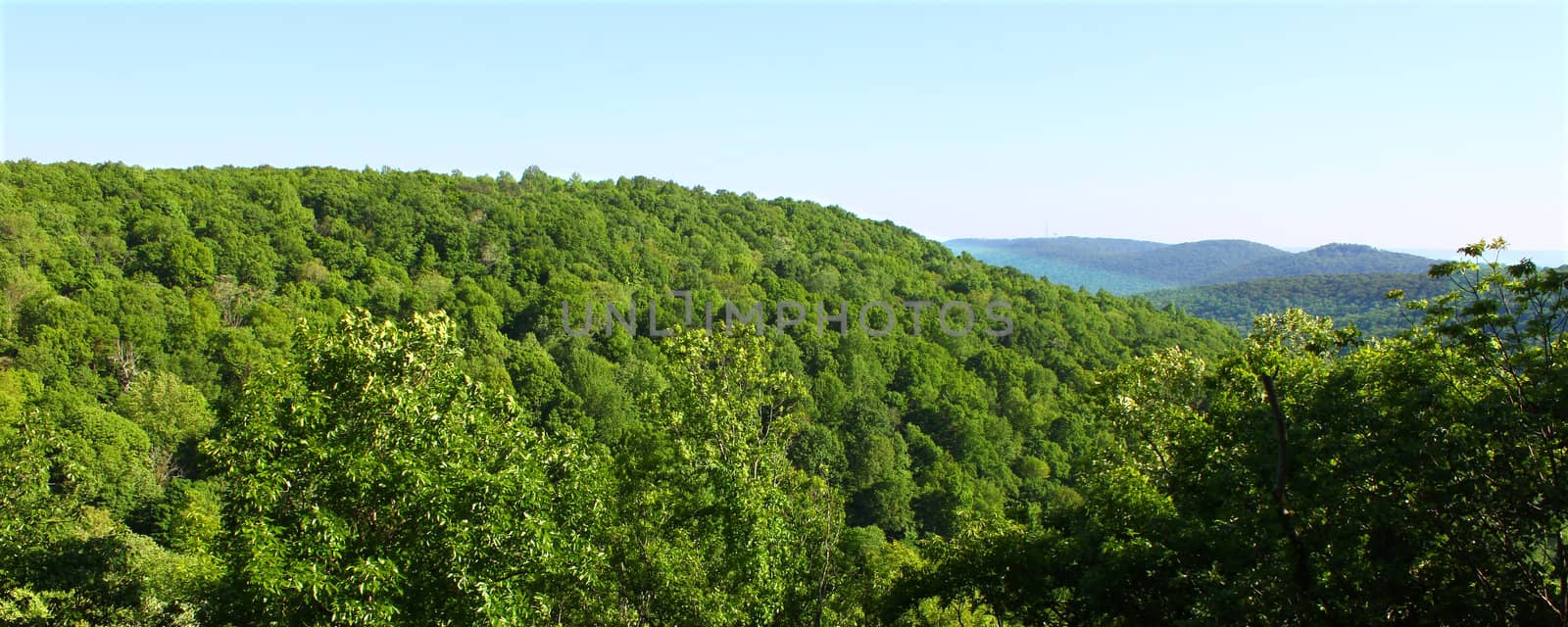 The vast forested lands of Monte Sano State Park in Alabama.