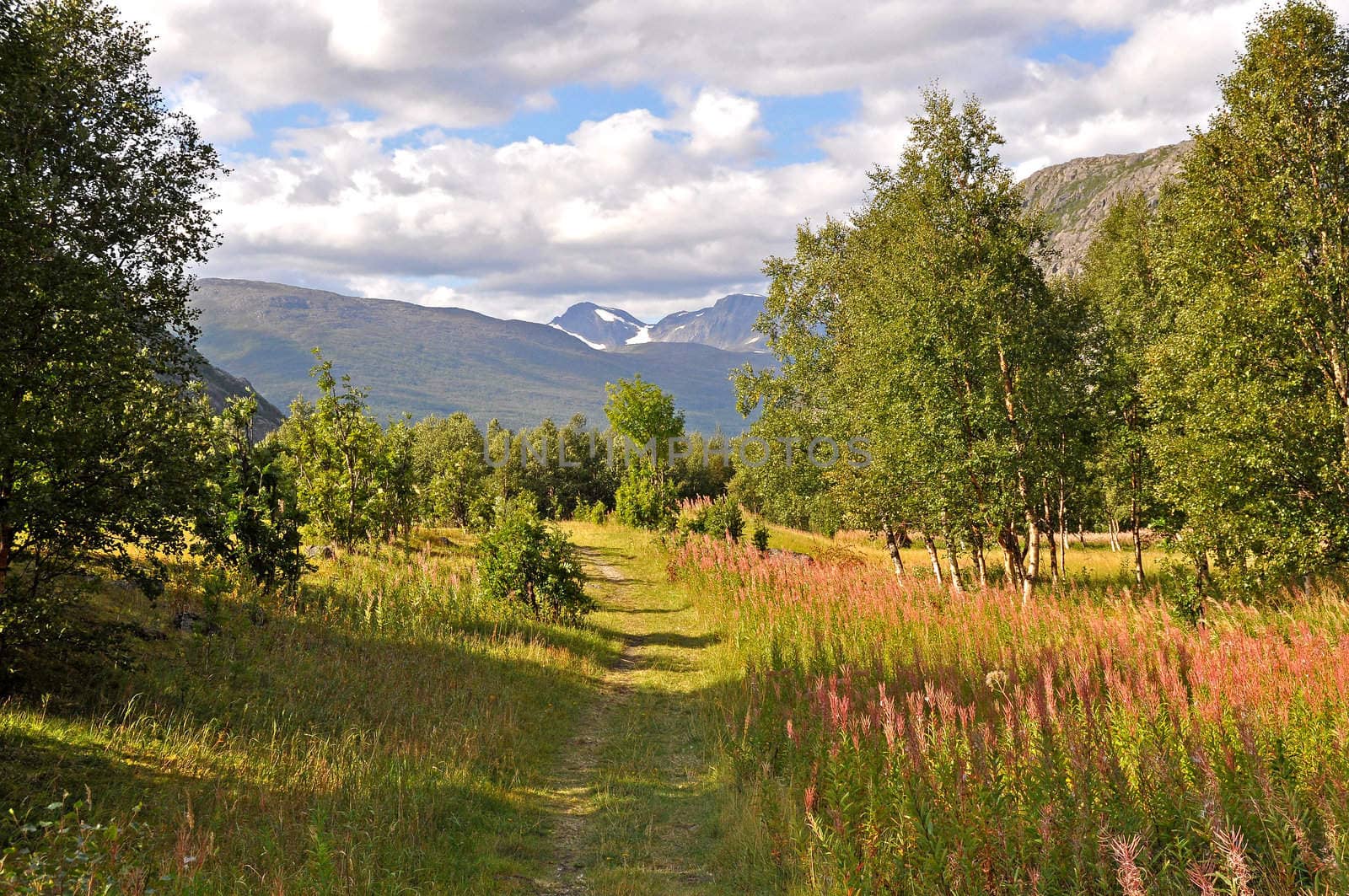 A beautiful part of the walking trail "Rallarveien" in northern Norway.