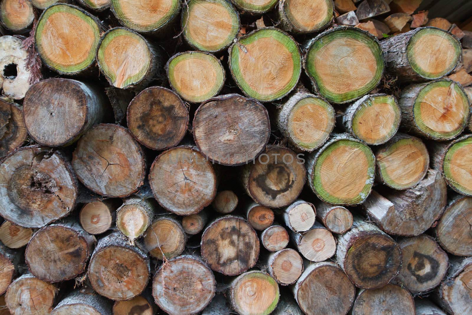 Green wood log pile by bobkeenan