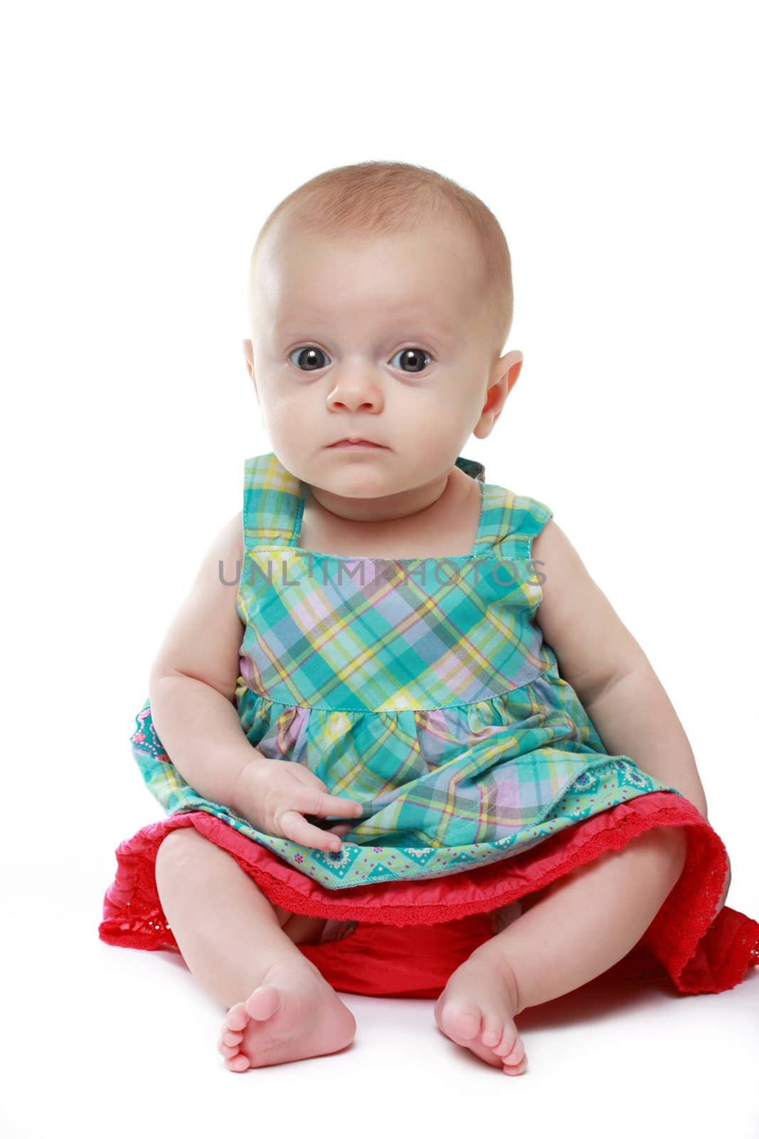 portrait of a cute caucasian baby girl sitting, white background
