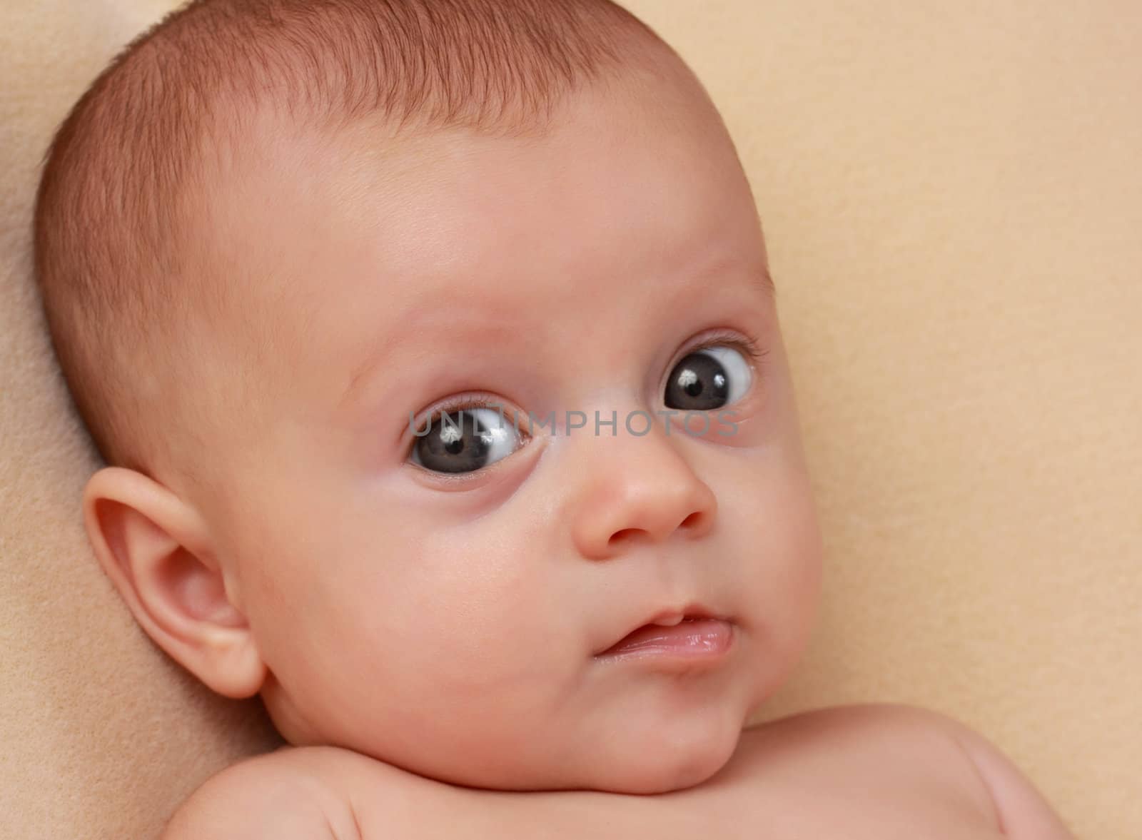 portrait of a cute caucasian baby girl, beige background