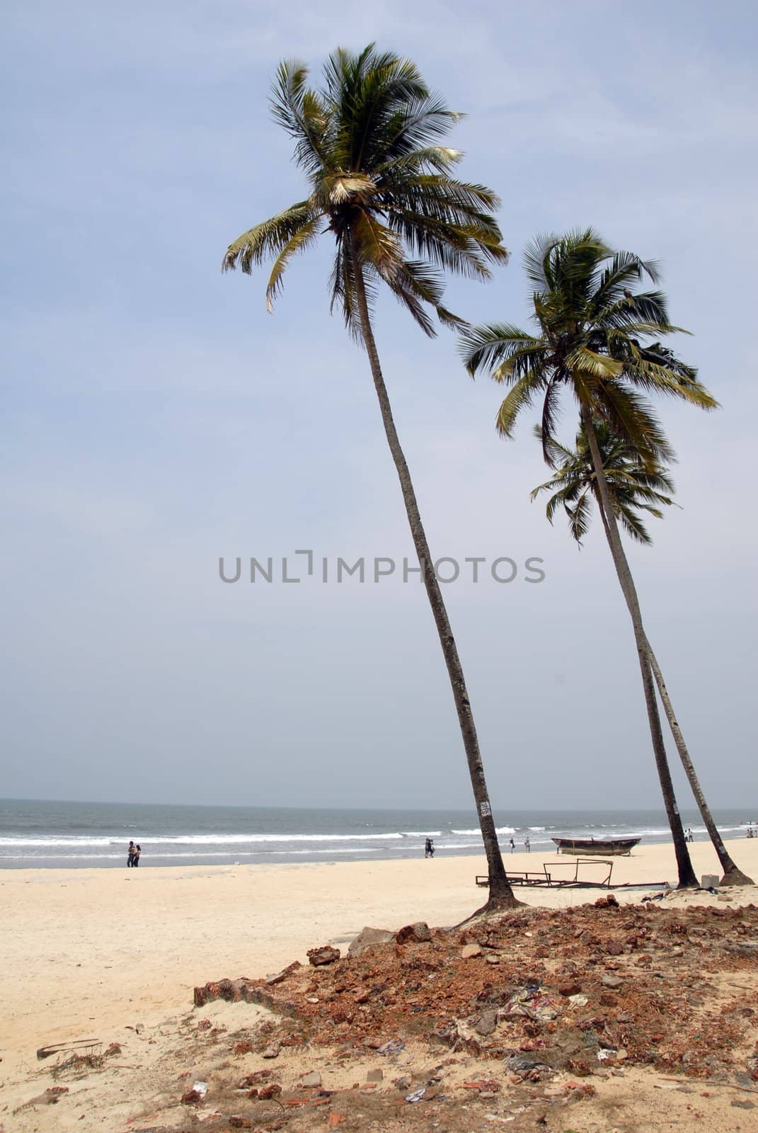 popular tourist attraction of India Colva beach in Goa