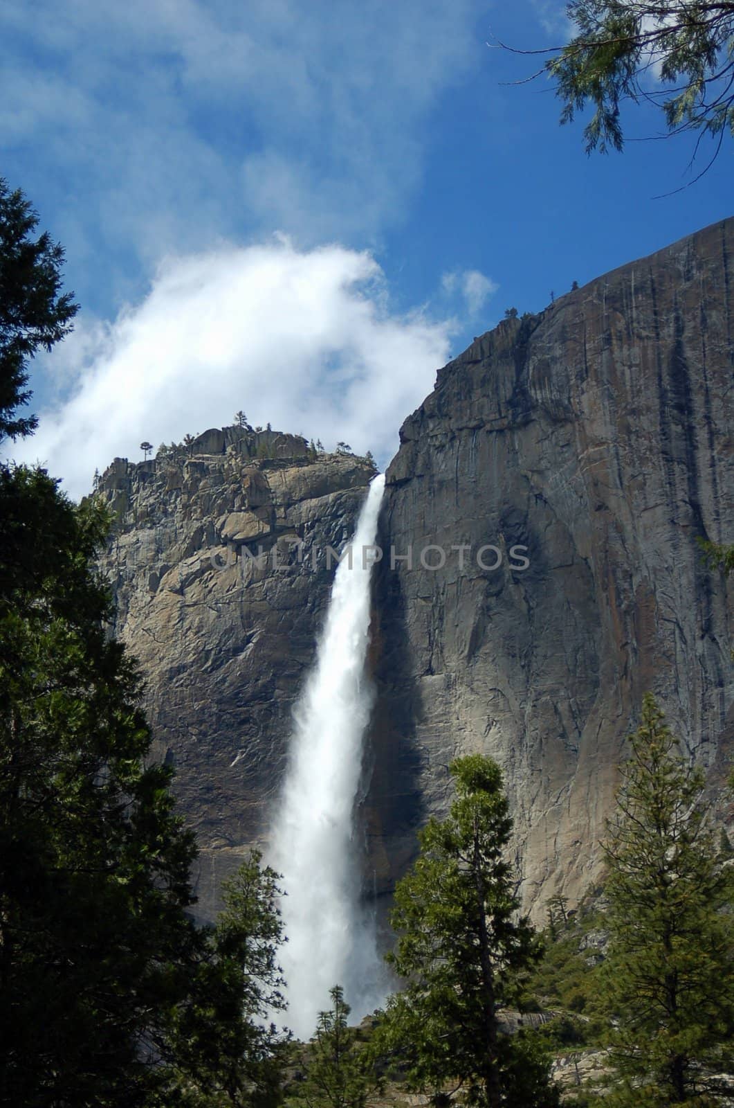 Lower Yosemite falls at Yosemite National Park California America