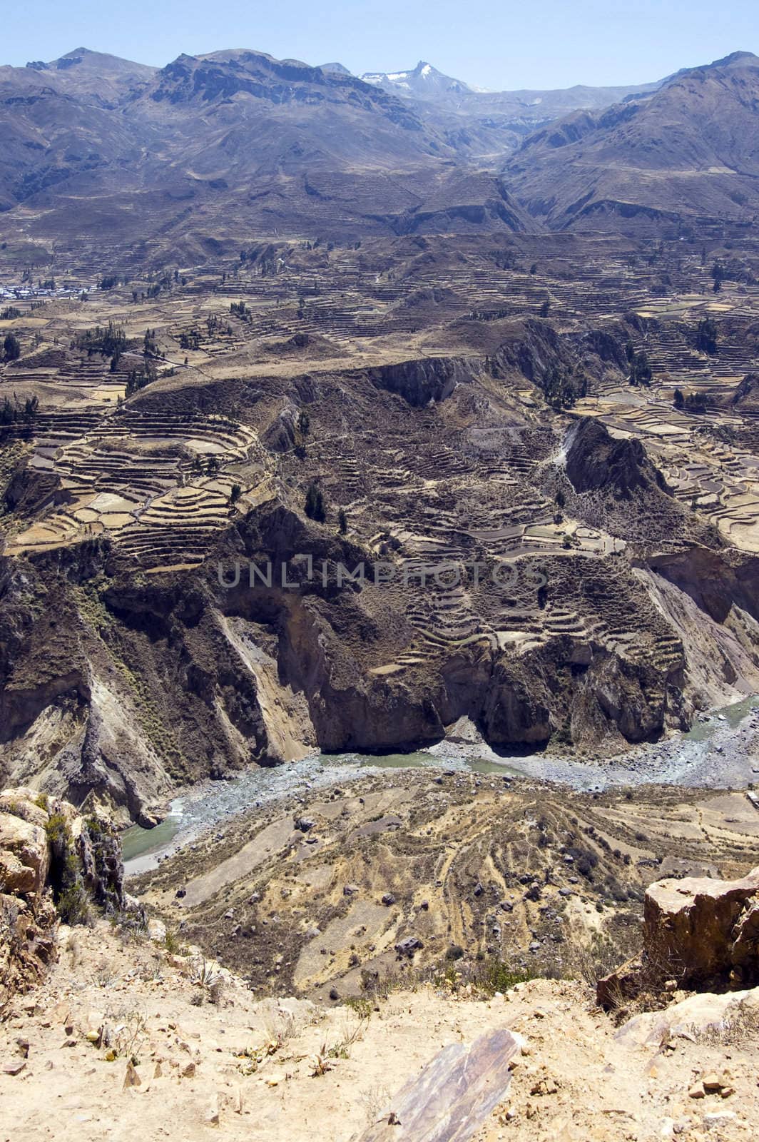 Colca Canyon Peru