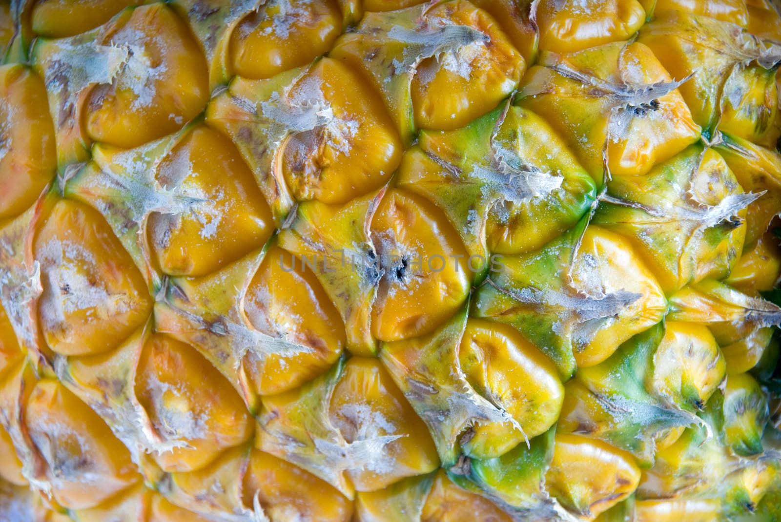 dettail ripe vivid pineapple textured skin closeup