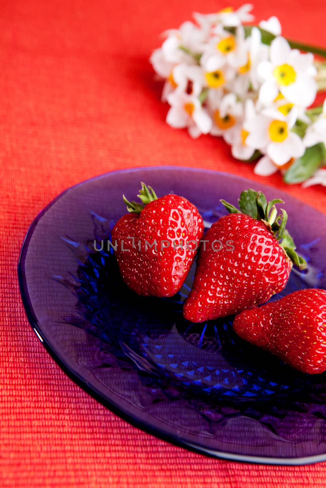 A plate with strawberries in a natural setting