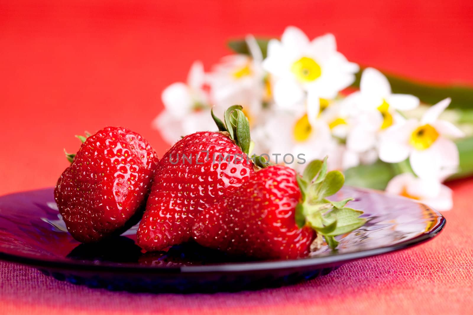 A plate of fresh strawberries with flower in the background