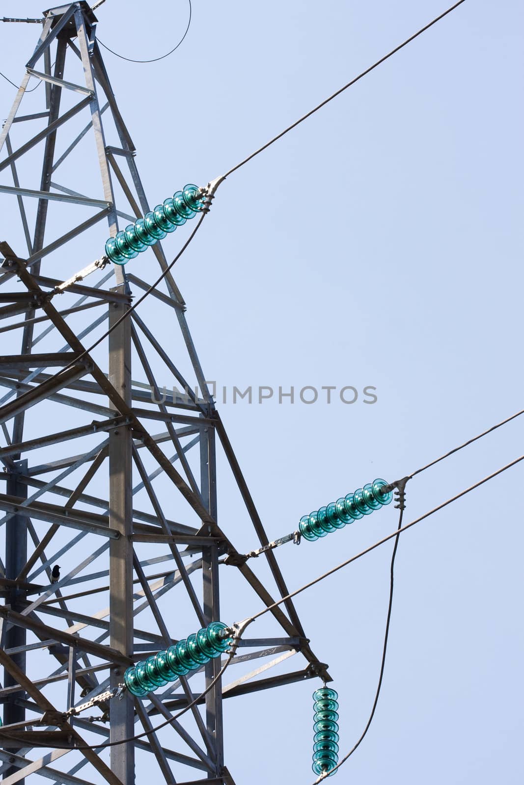 Power Line by rozhenyuk