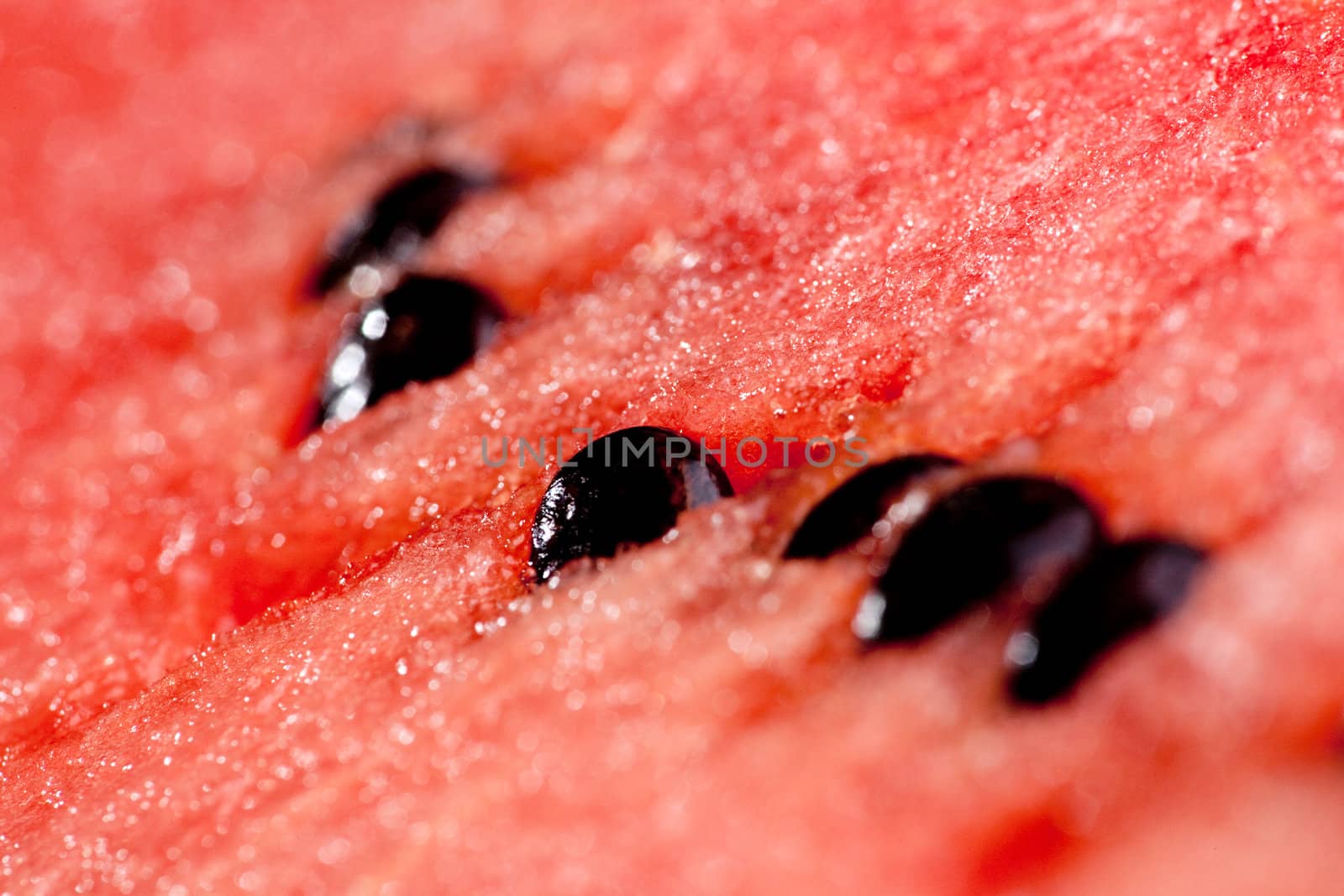 A ripe watermelon fruit background detail