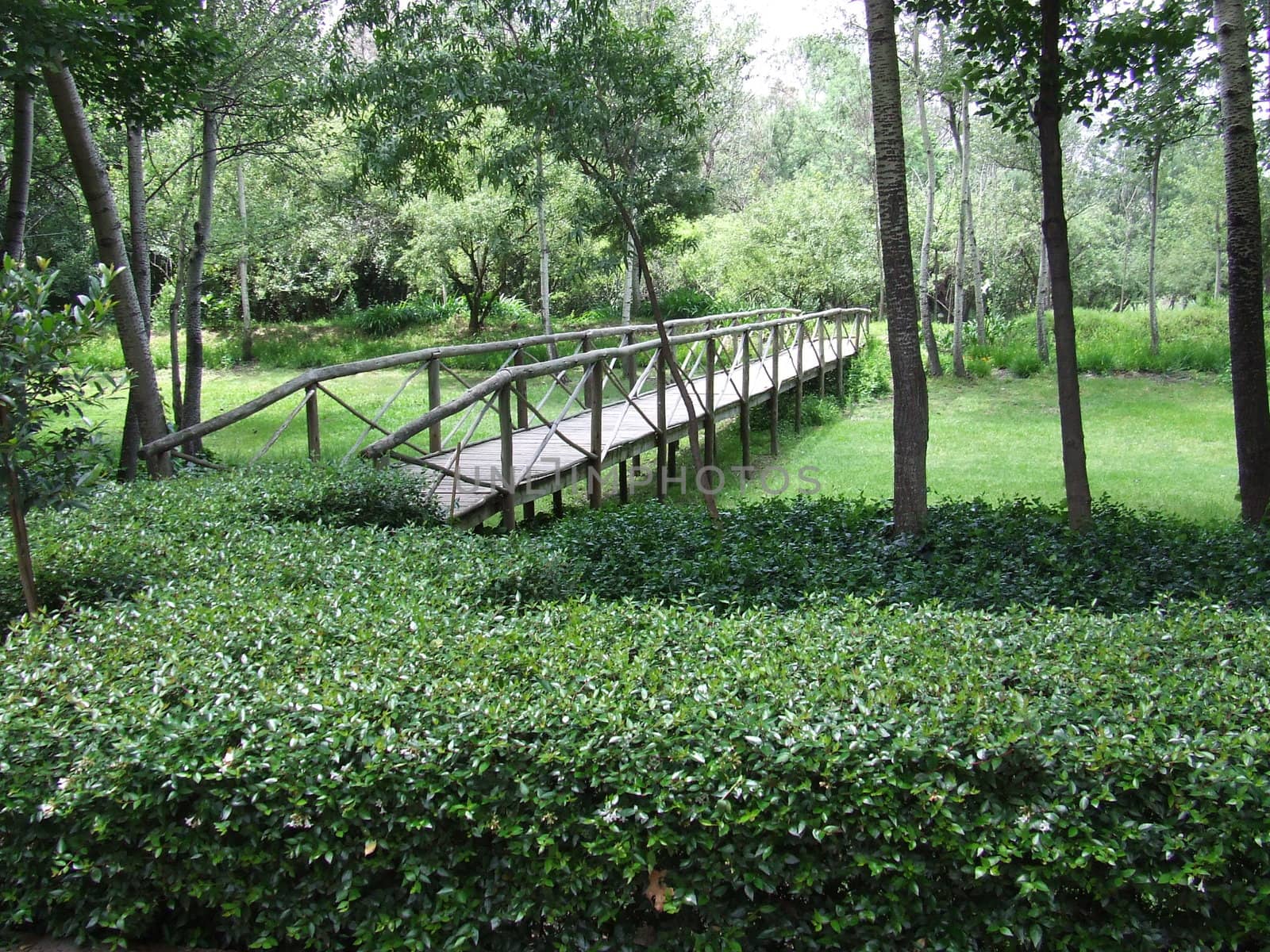 wooden bridge in a landscaped garden