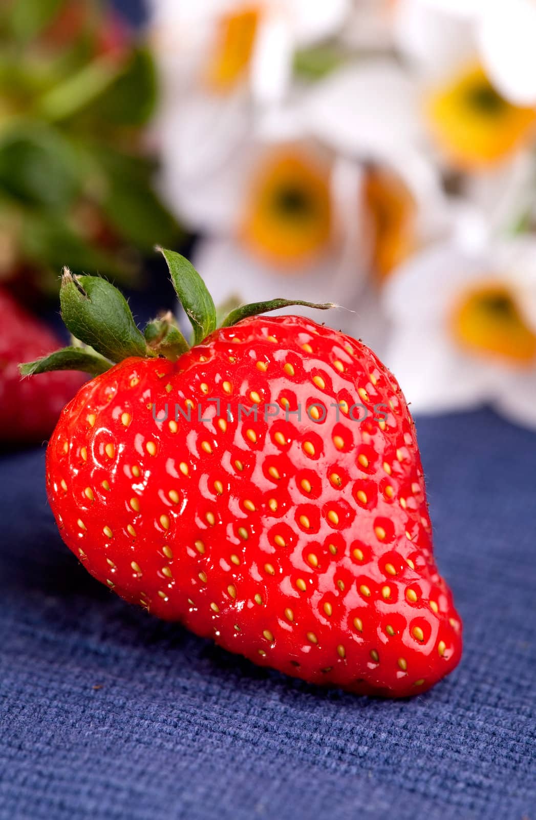 Fresh Strawberry by leaf