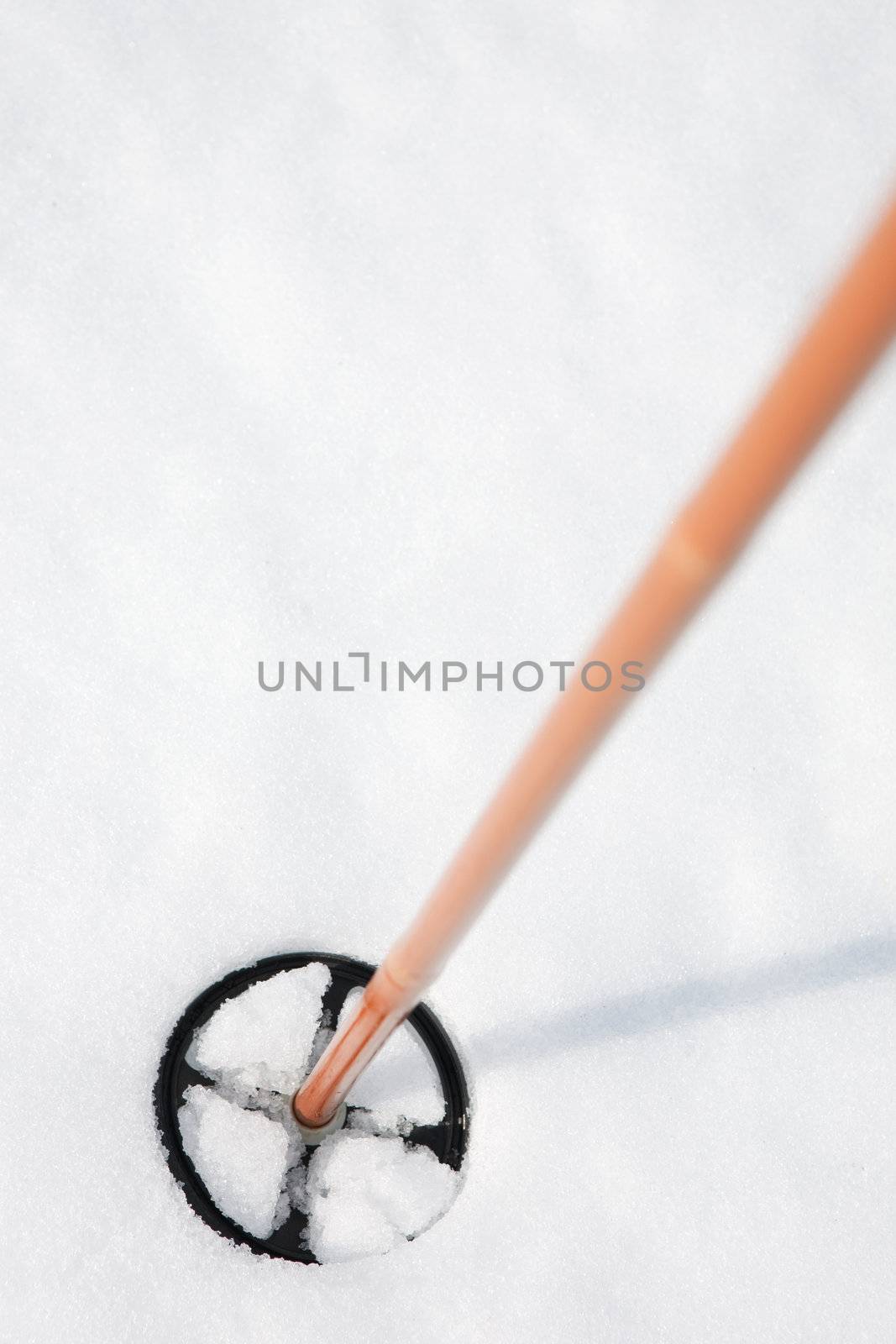 A ski pole in snow