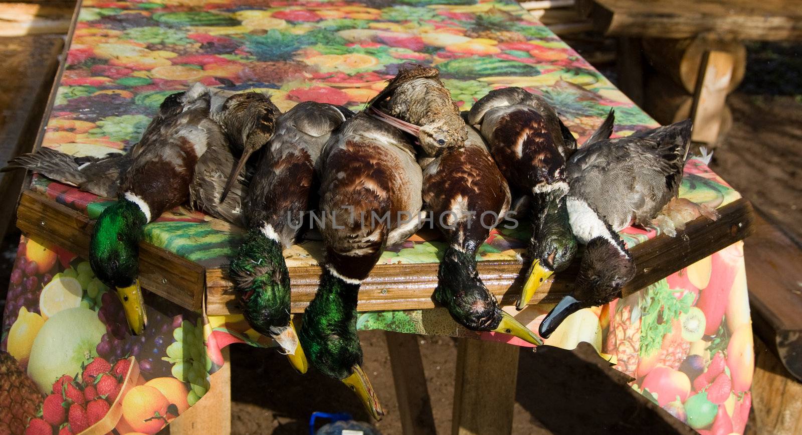 Ducks and woodcocks on a table covered with a colour oilcloth