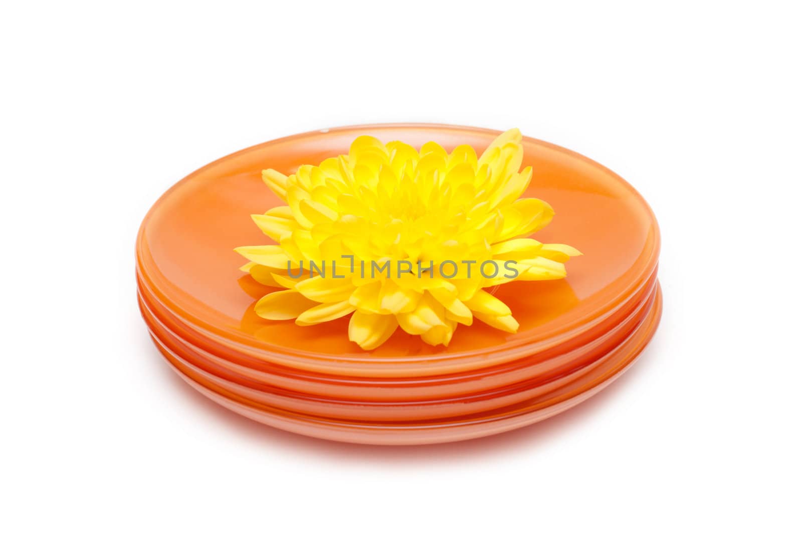 Orange plates by pile, yellow flower on them, on white background